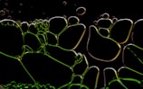 An arrangement of translucent bubbles interconnected and overlaying each other, illuminated with a green hue against a dark background. The shapes appear fluid and organic, resembling a network of abstract cells.