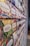 A wall displaying an assortment of colorful coffee packages, each labeled with different country origins such as Ecuador, Guatemala, Brazil, and others. The packages feature vibrant, abstract designs that are visually striking.
