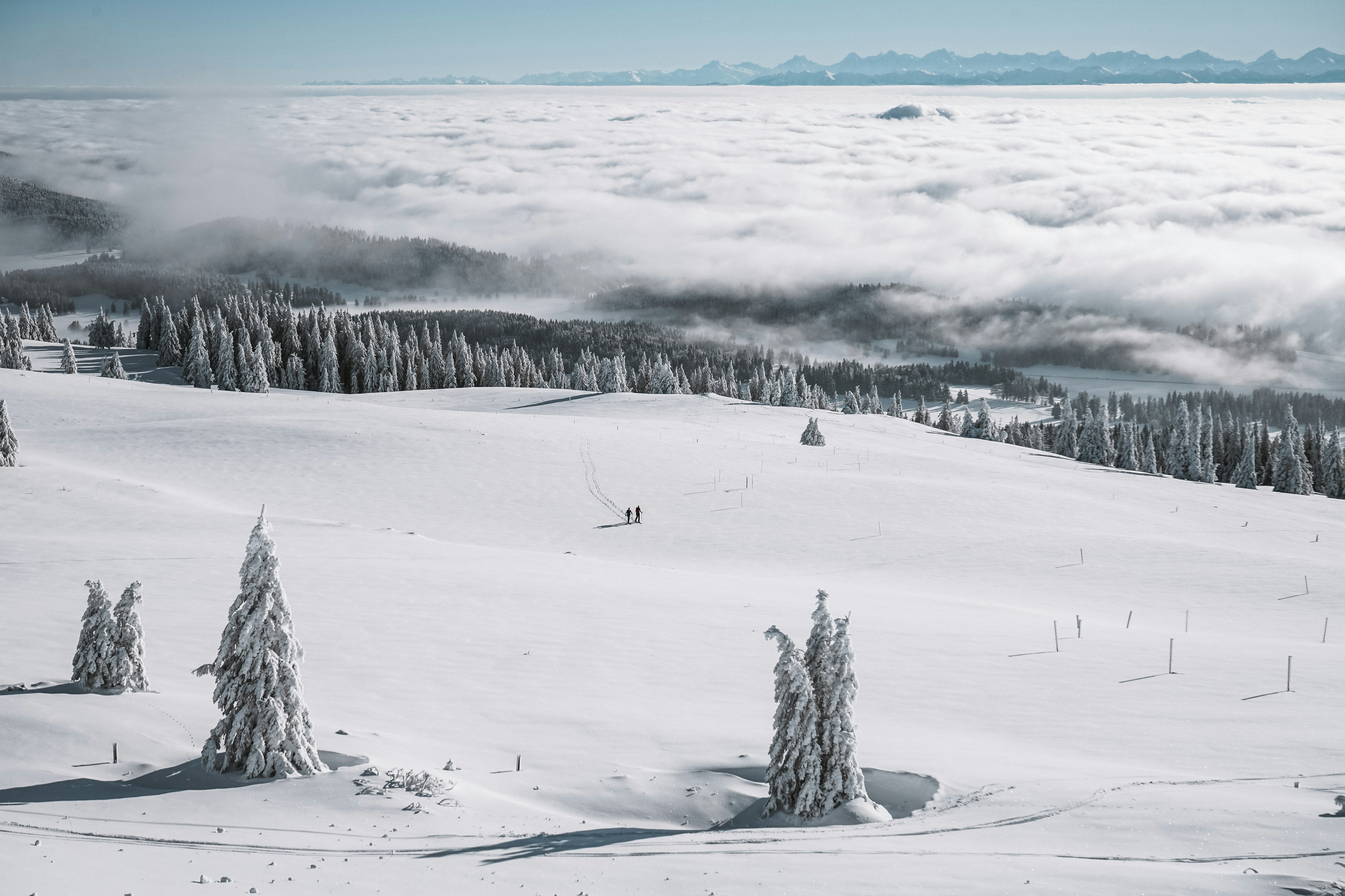 Photo by damienschnorhk