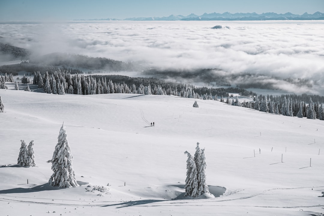 snow covered field during daytime