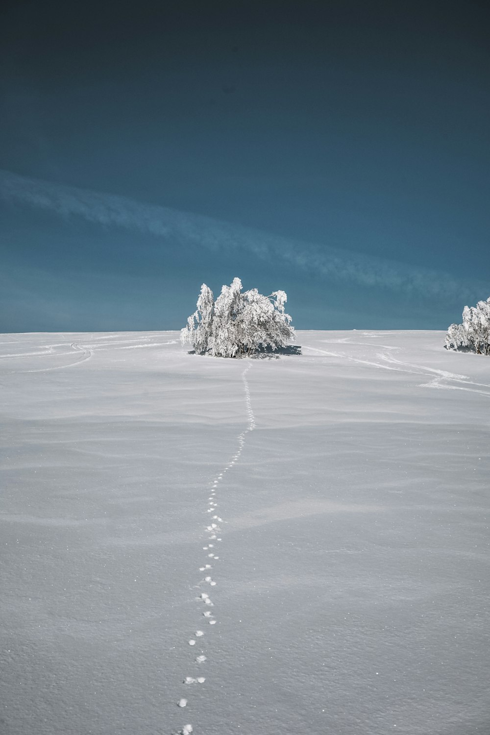 brown rock formation on white snow under blue sky during daytime