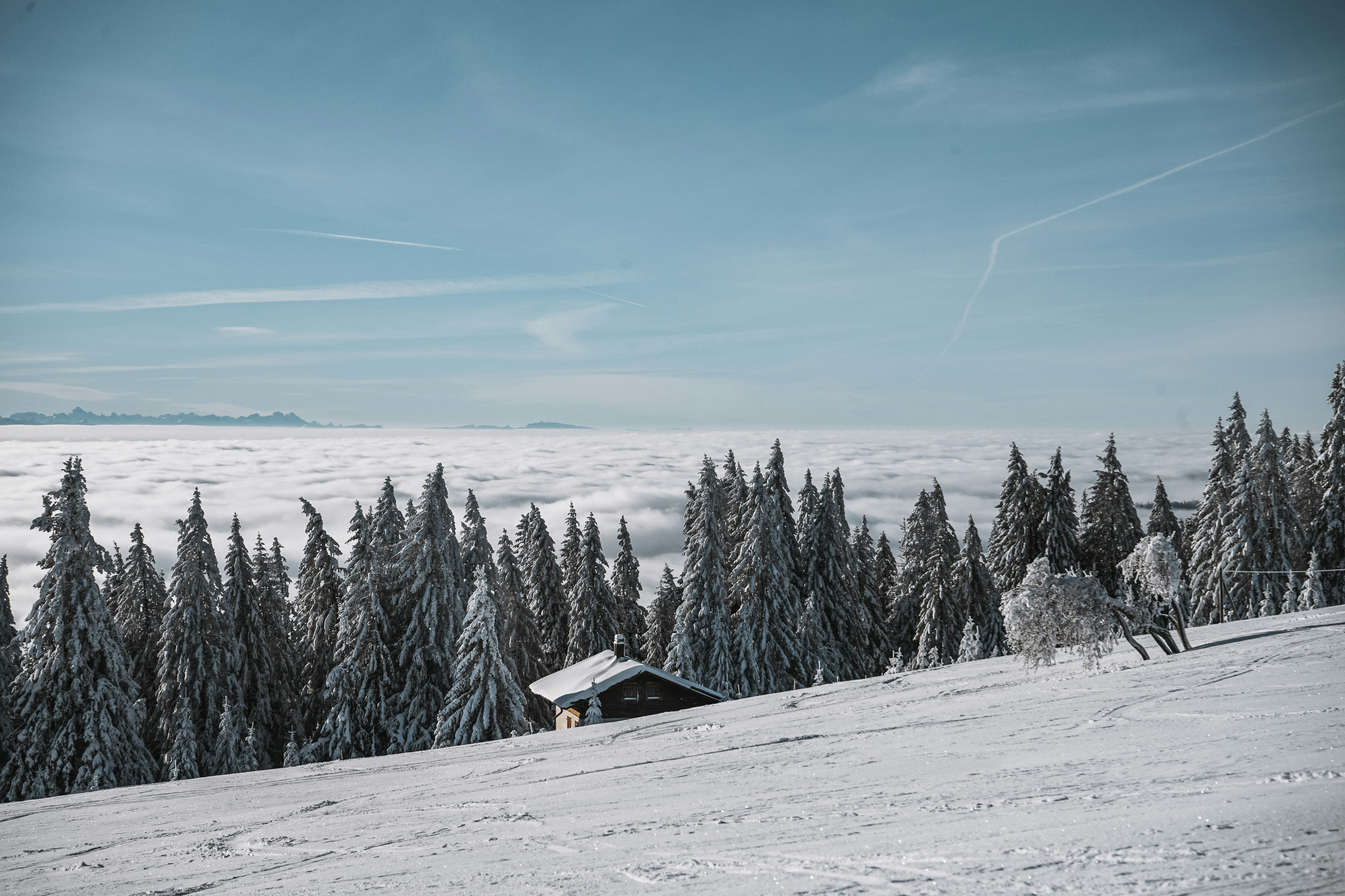 Photo by damienschnorhk