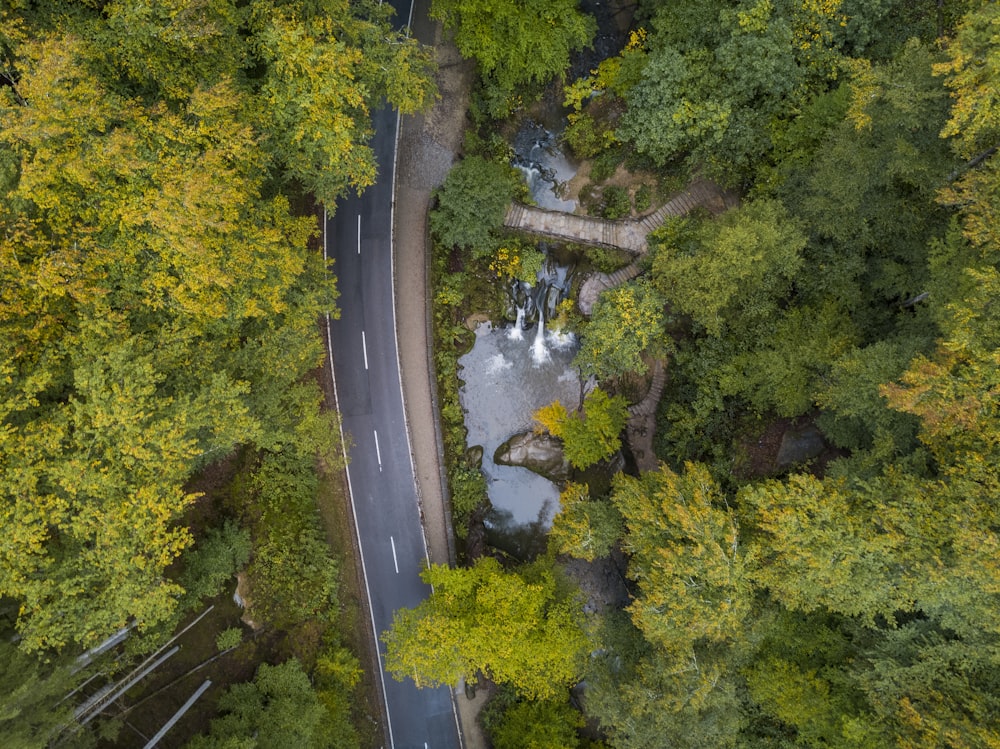 aerial view of green trees and river