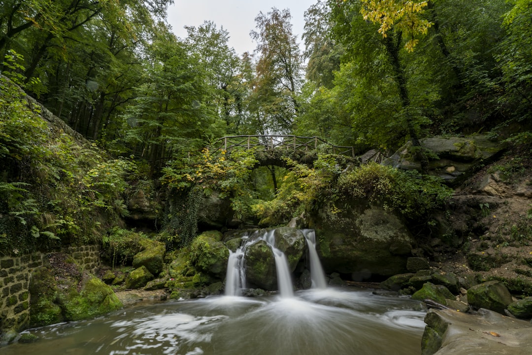 Exploring Luxembourg's Free Transport Frontier Across the French Bo… — Exploring Luxembourg's Free Transport Frontier...