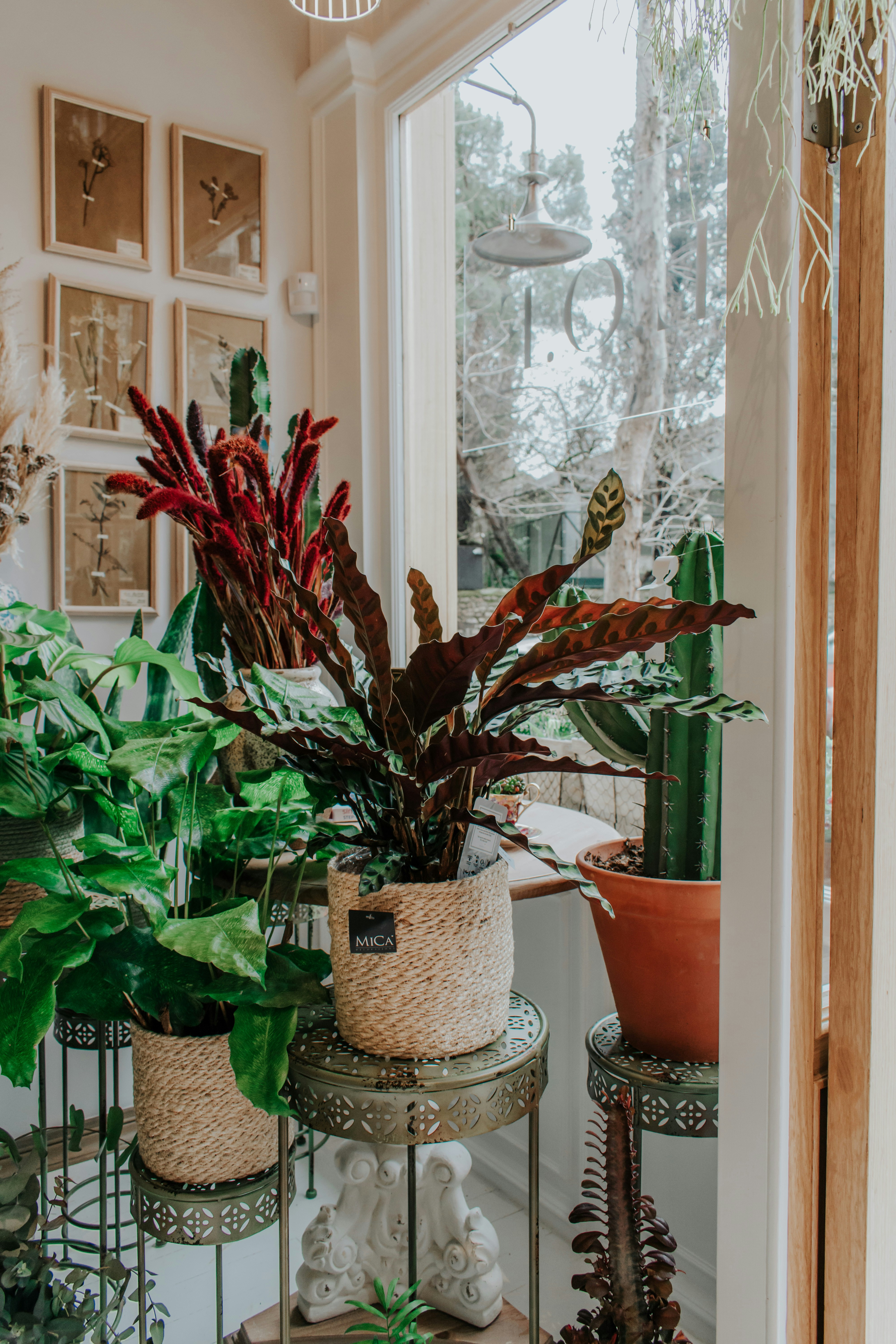 Photo by ceydaciftci