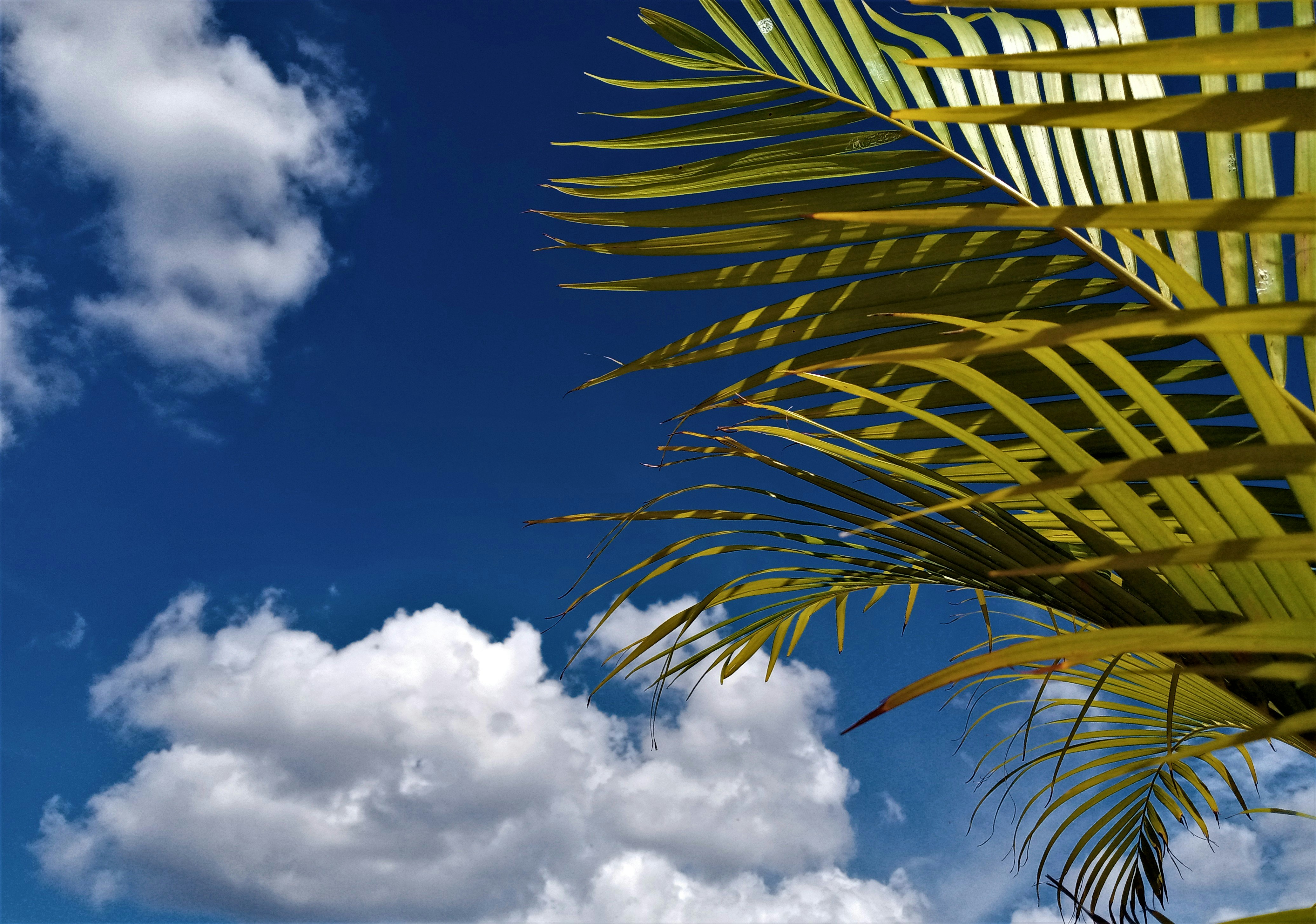 Photo by abigailvijetha