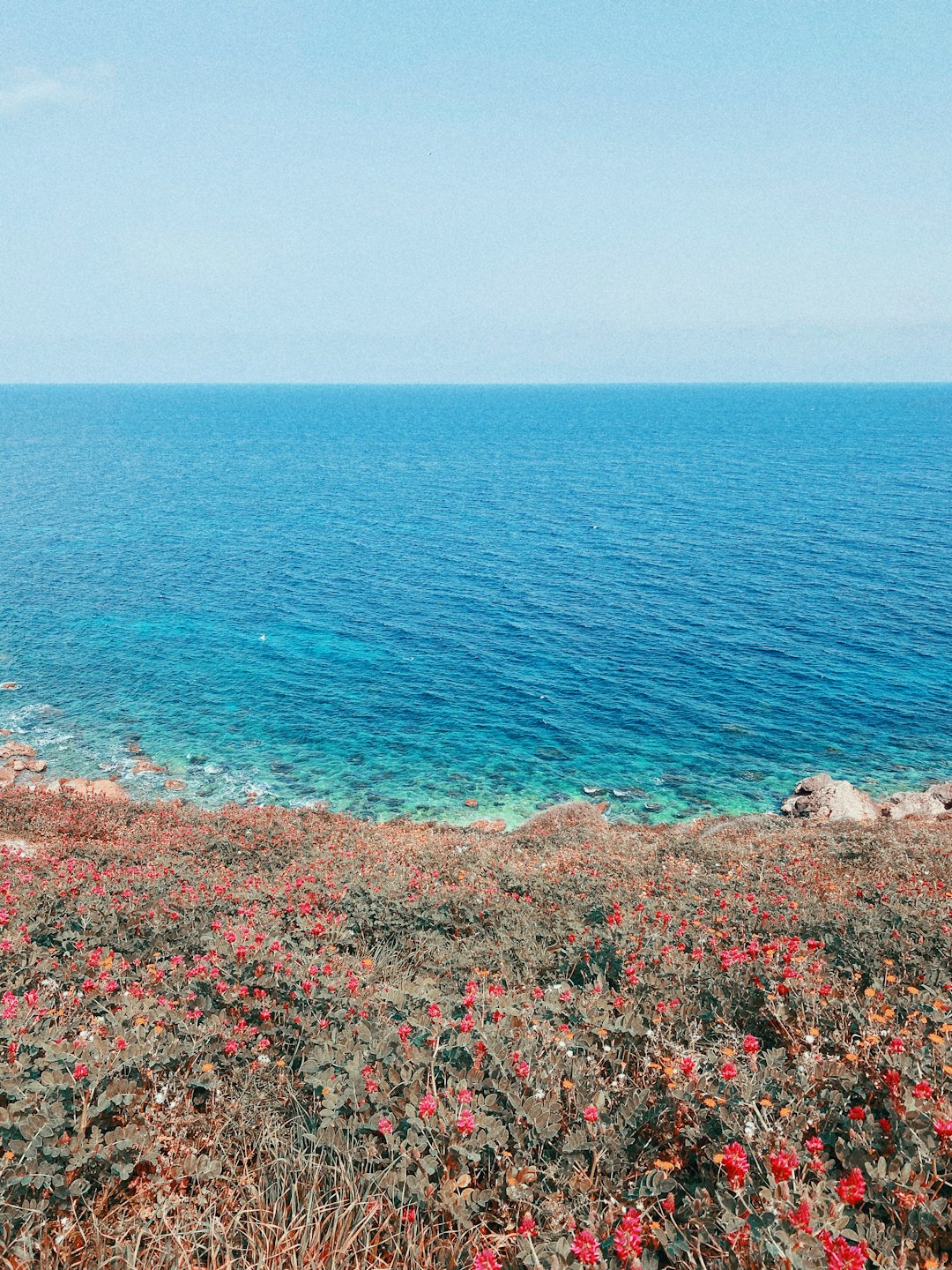 Ecoregion photo spot Gozo Għajn Tuffieħa