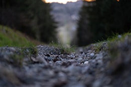 Close-up of footsteps on a rocky path symbolizing progress and decision-making.