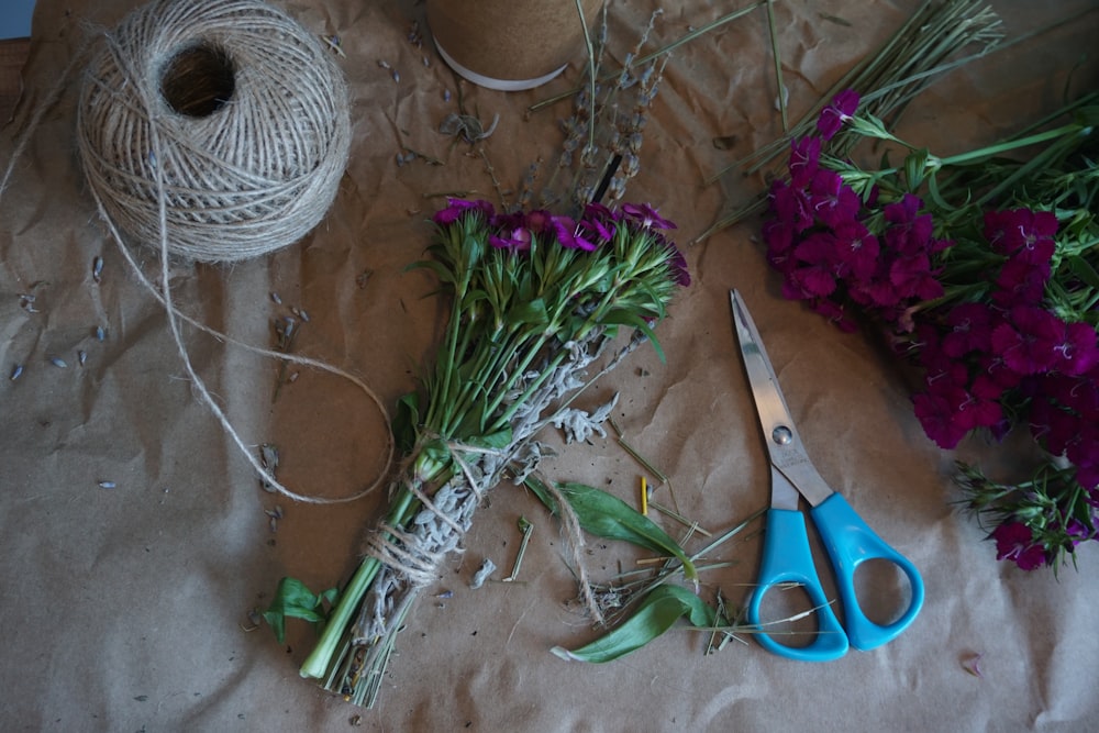 blue and orange scissors beside white and purple flowers