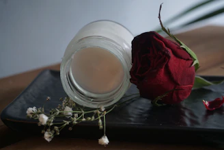 Minimalist black vase holding a single red rose on a bone-colored surface beside a delicate jar of moisturizer.