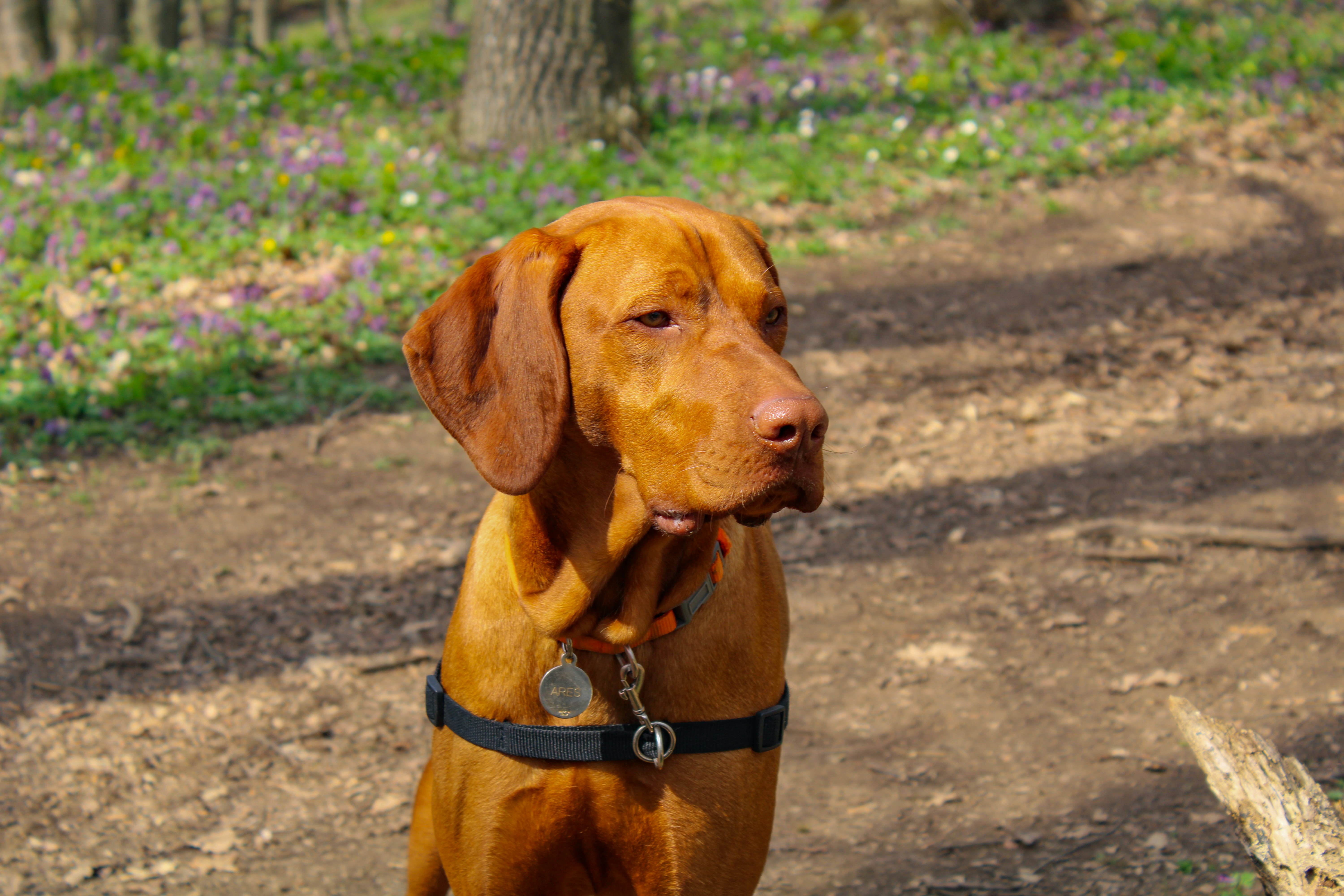 Photo by davidpupaza