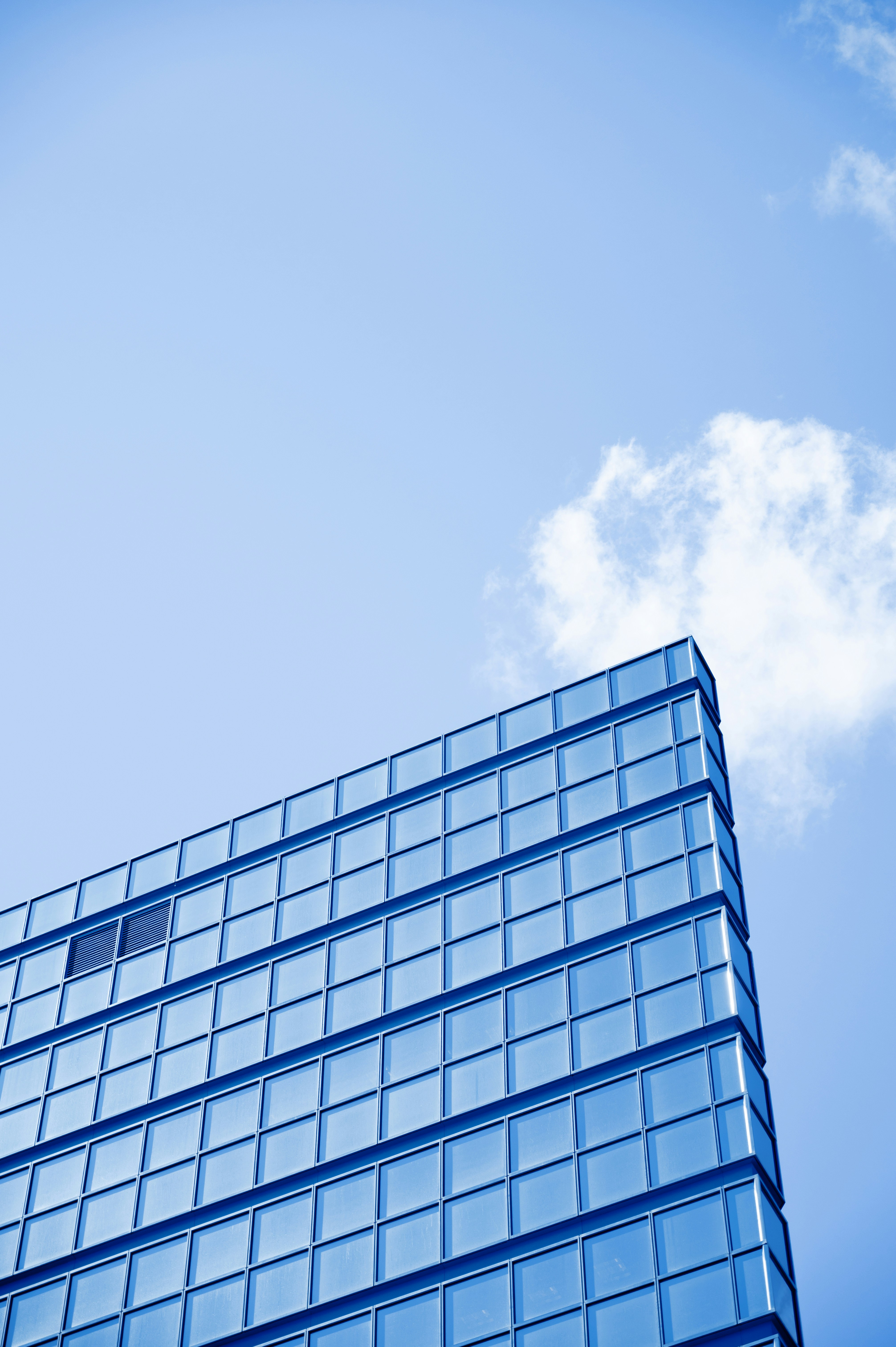 Photo by ryunosuke_kikuno