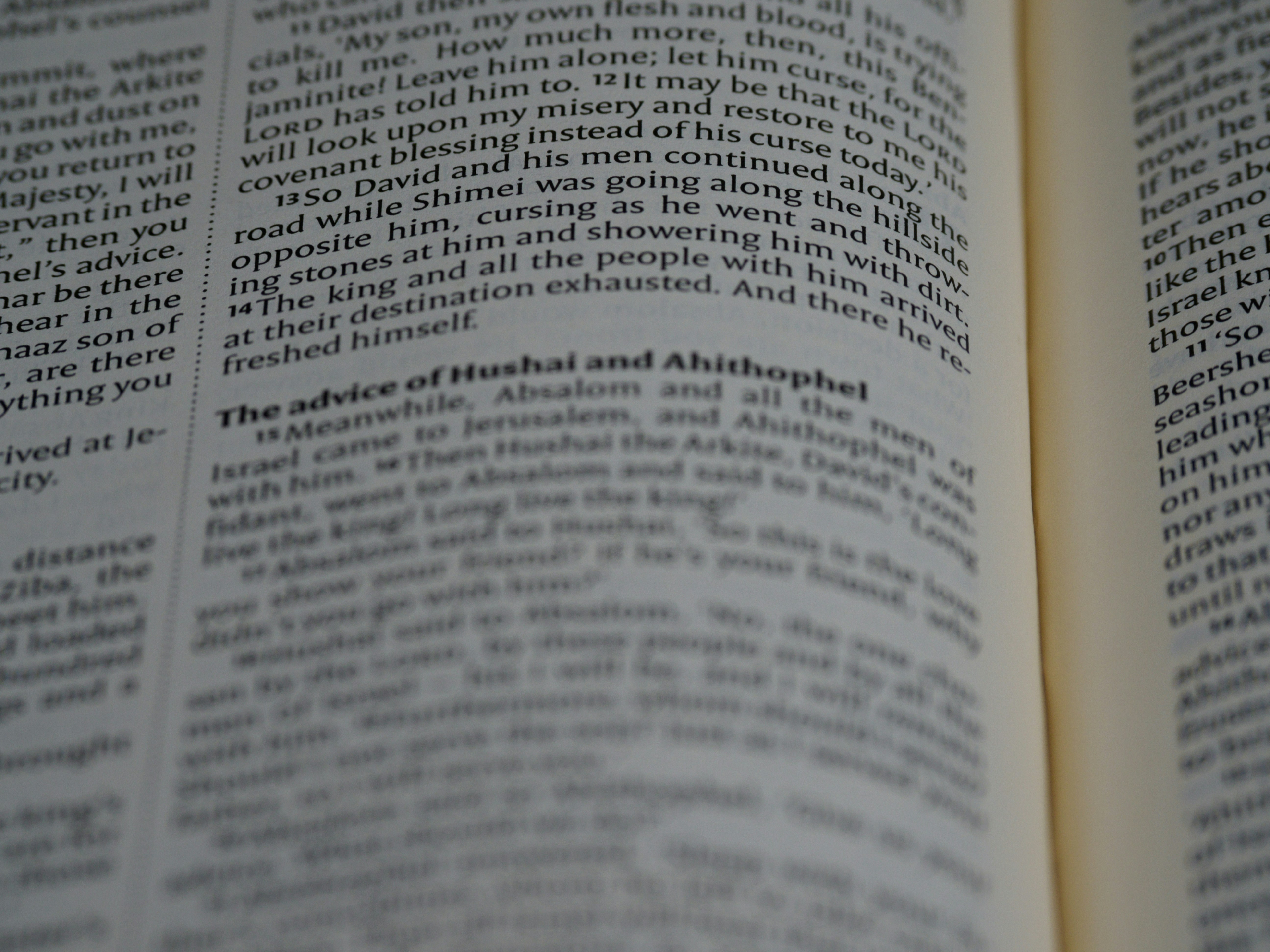 Photo by brett_jordan