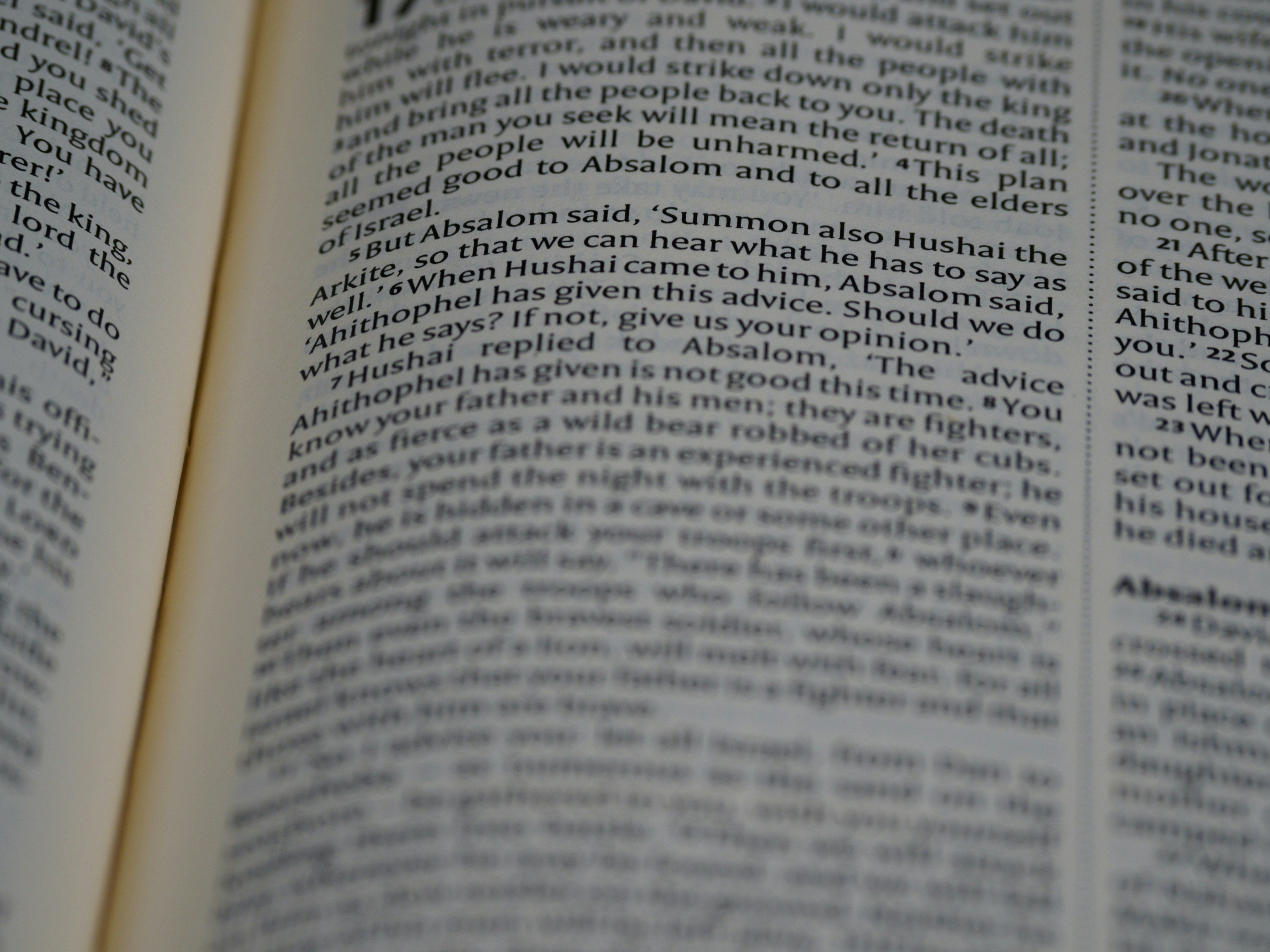 Photo by brett_jordan