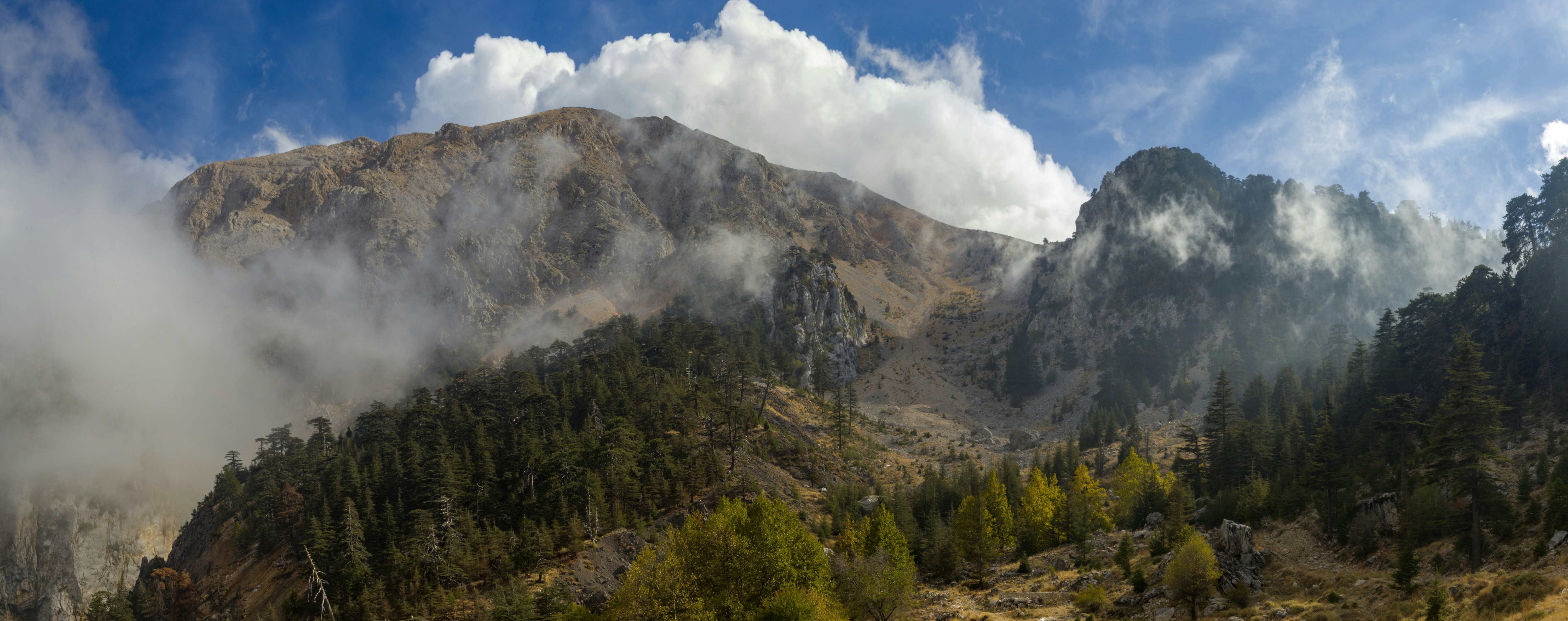 Photo by uin84917798