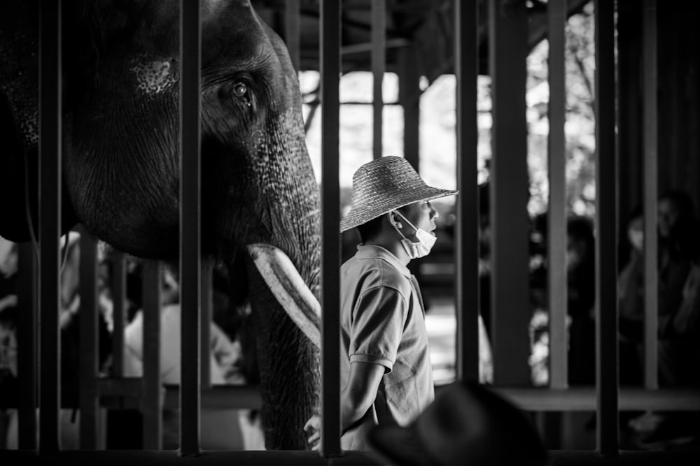 grayscale photo of woman in long sleeve shirt and hat standing beside elephant