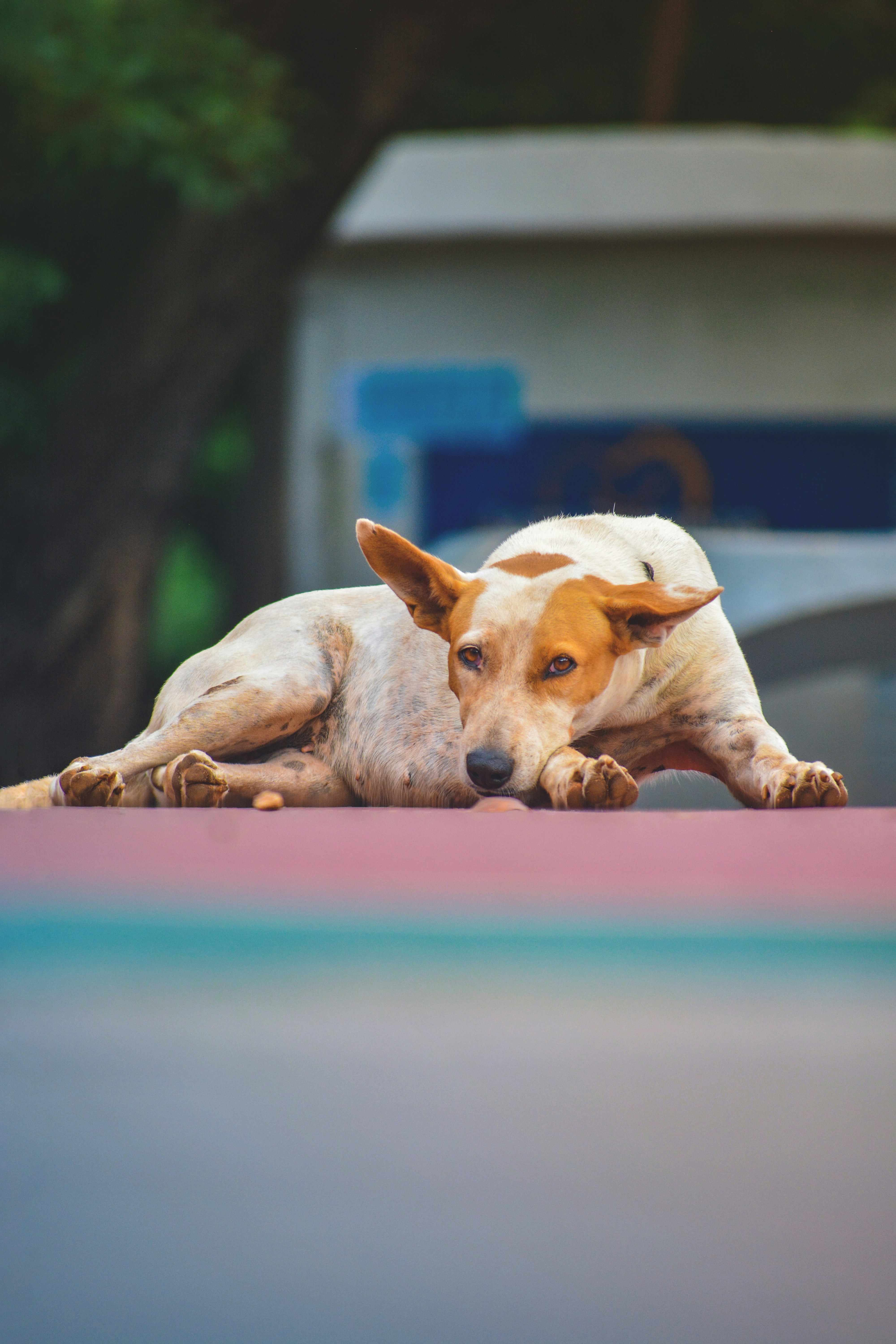 Photo by guzman123456