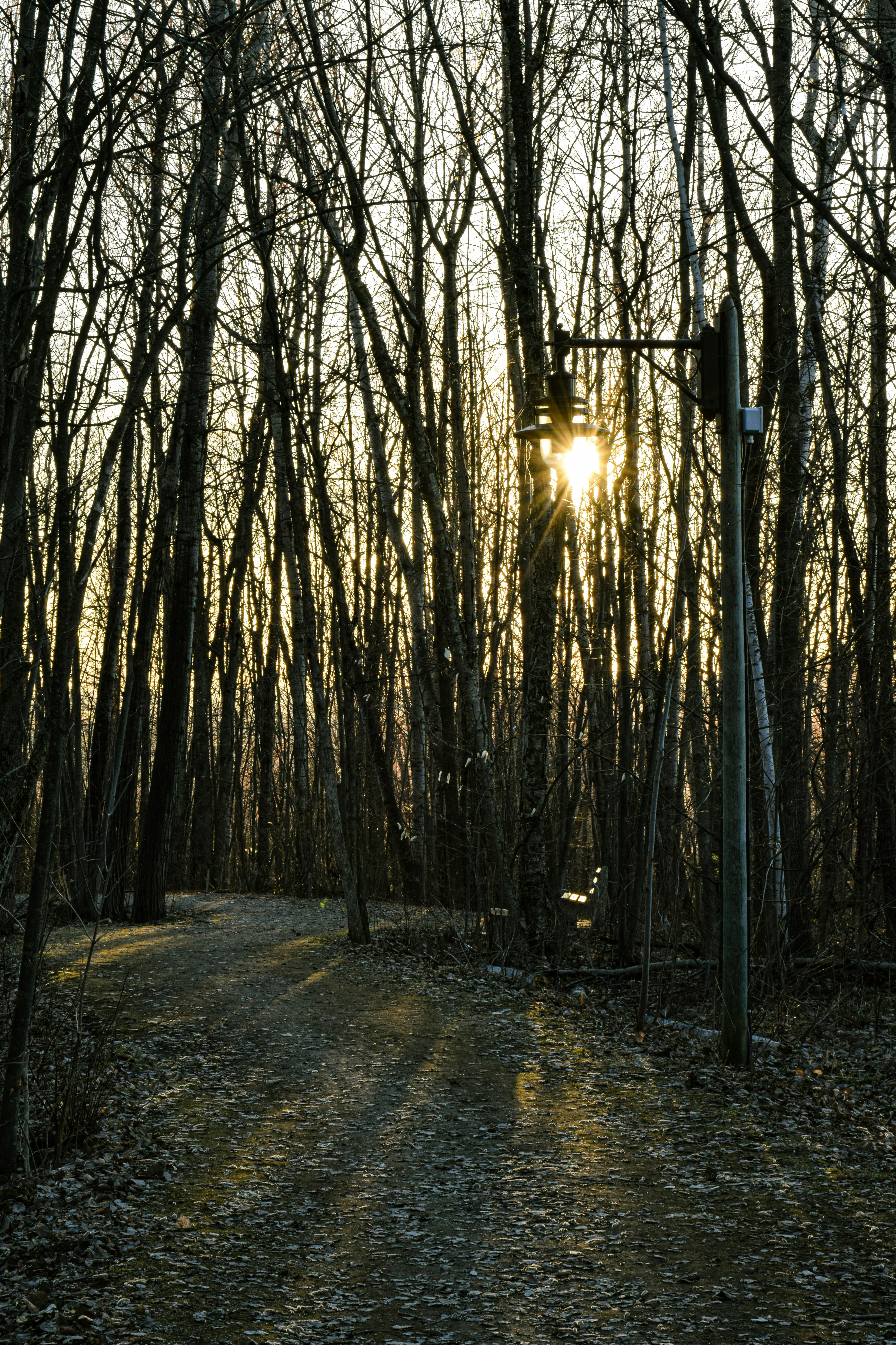 Thomas Labrecque (@thomas_labrecque) | Komunitas Foto Unsplash