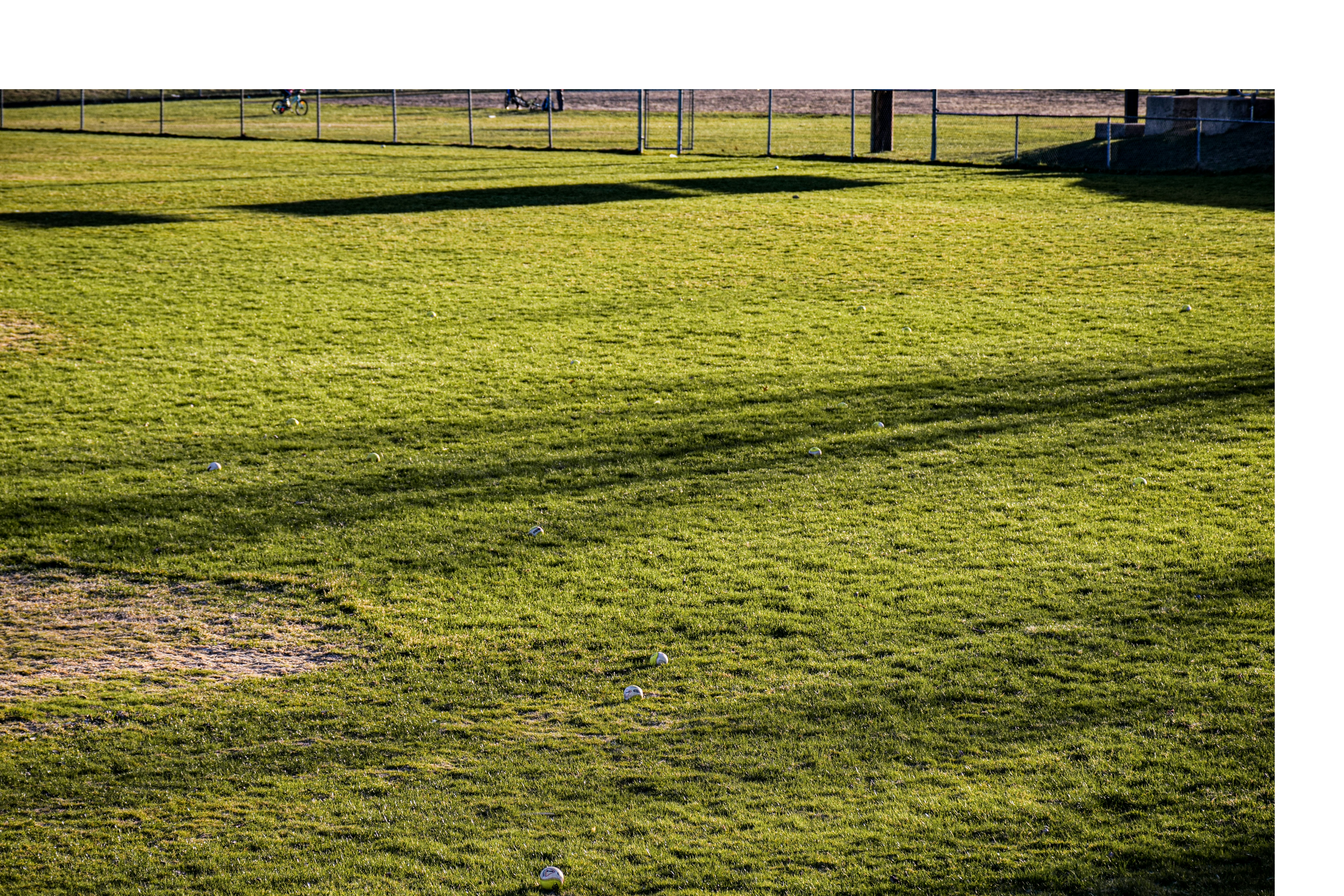 green grass field during daytime