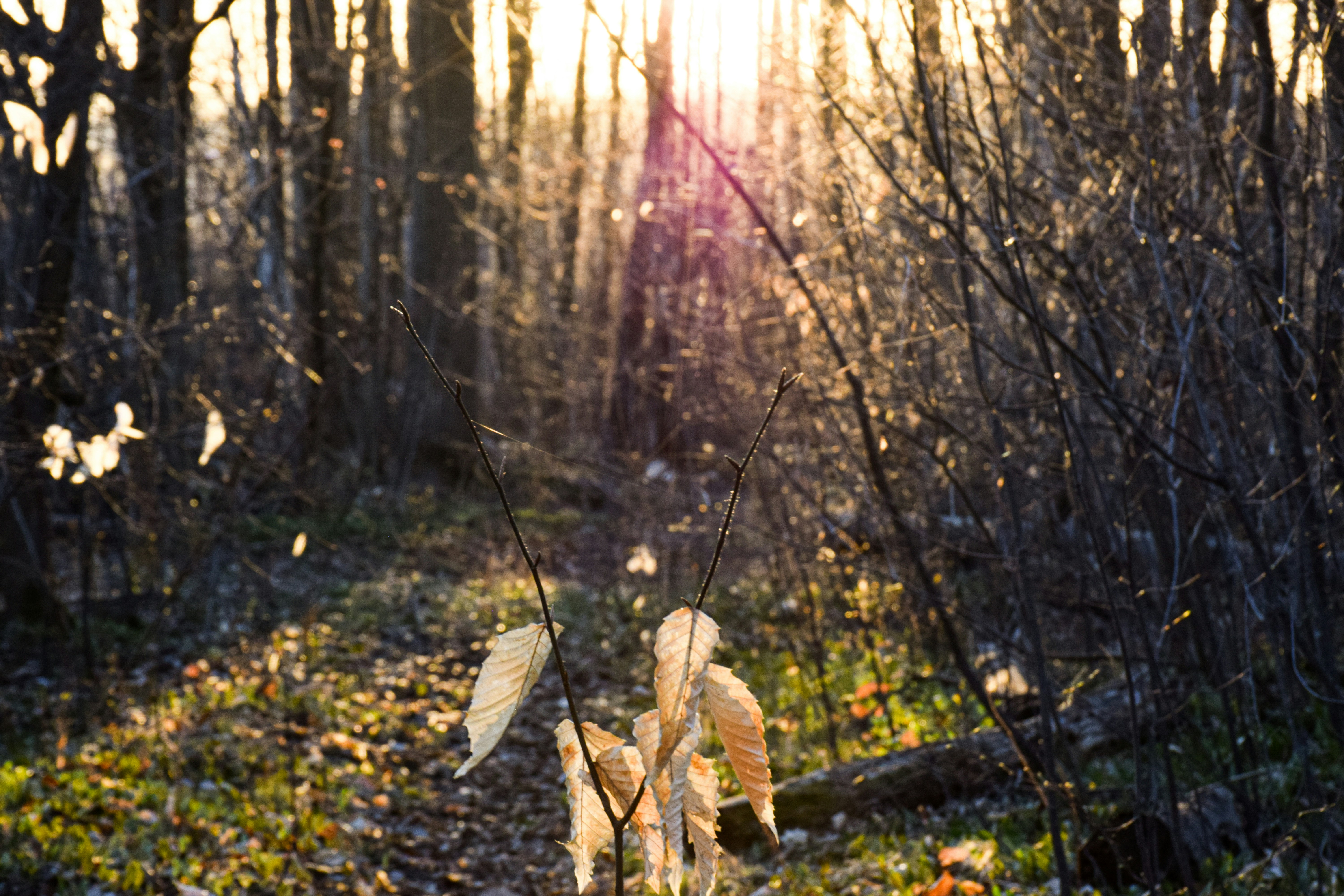 Thomas Labrecque (@thomas_labrecque) | Komunitas Foto Unsplash