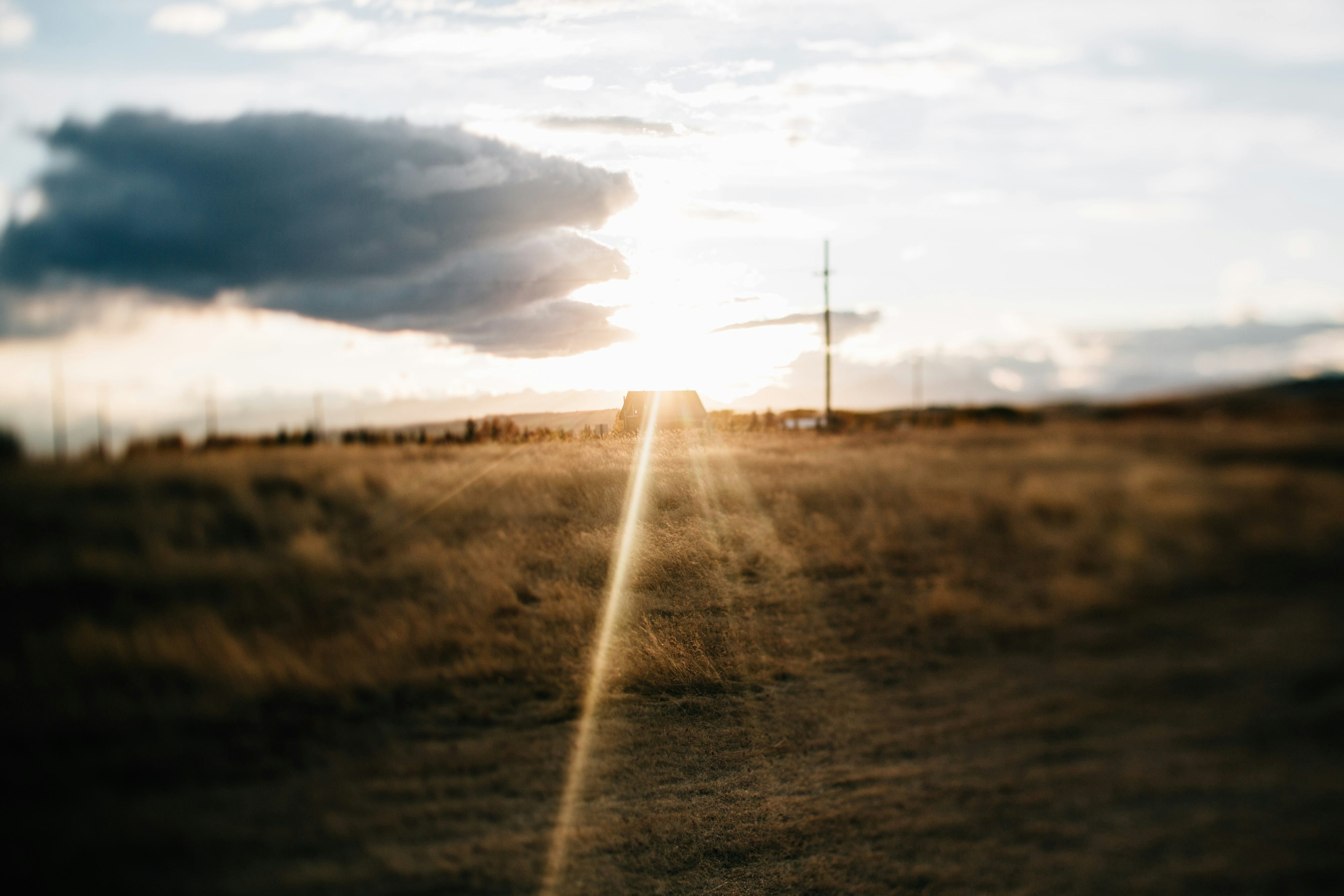 Photo by michaelbenz