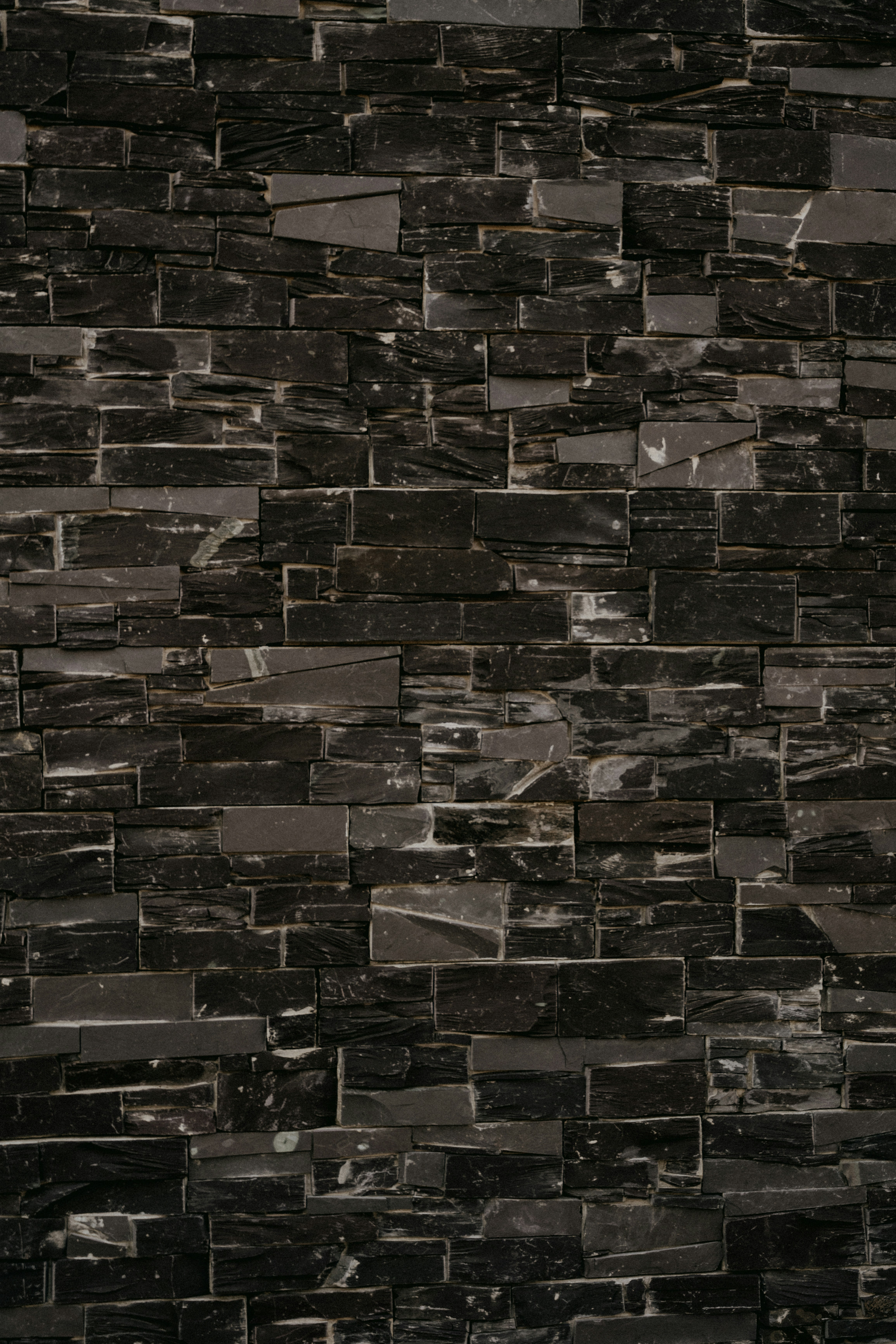 A Hotter, Wetter South: The Growing Mold Health Crisis