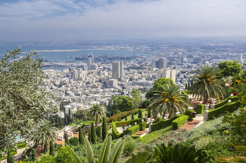 ciudad con edificios de gran altura durante el día