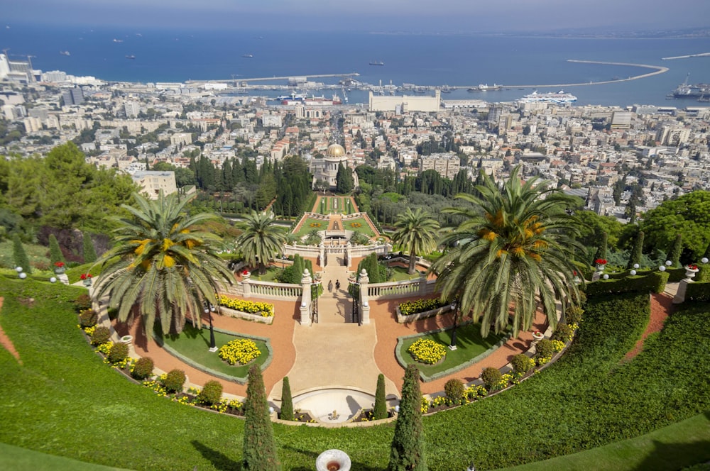 aerial view of green palm trees and green grass field during daytime