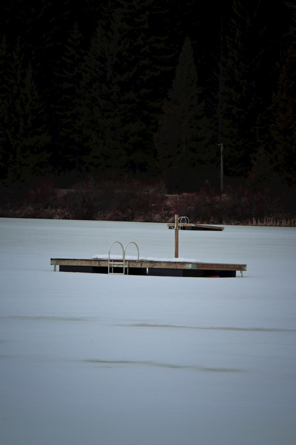 brown wooden dock on lake