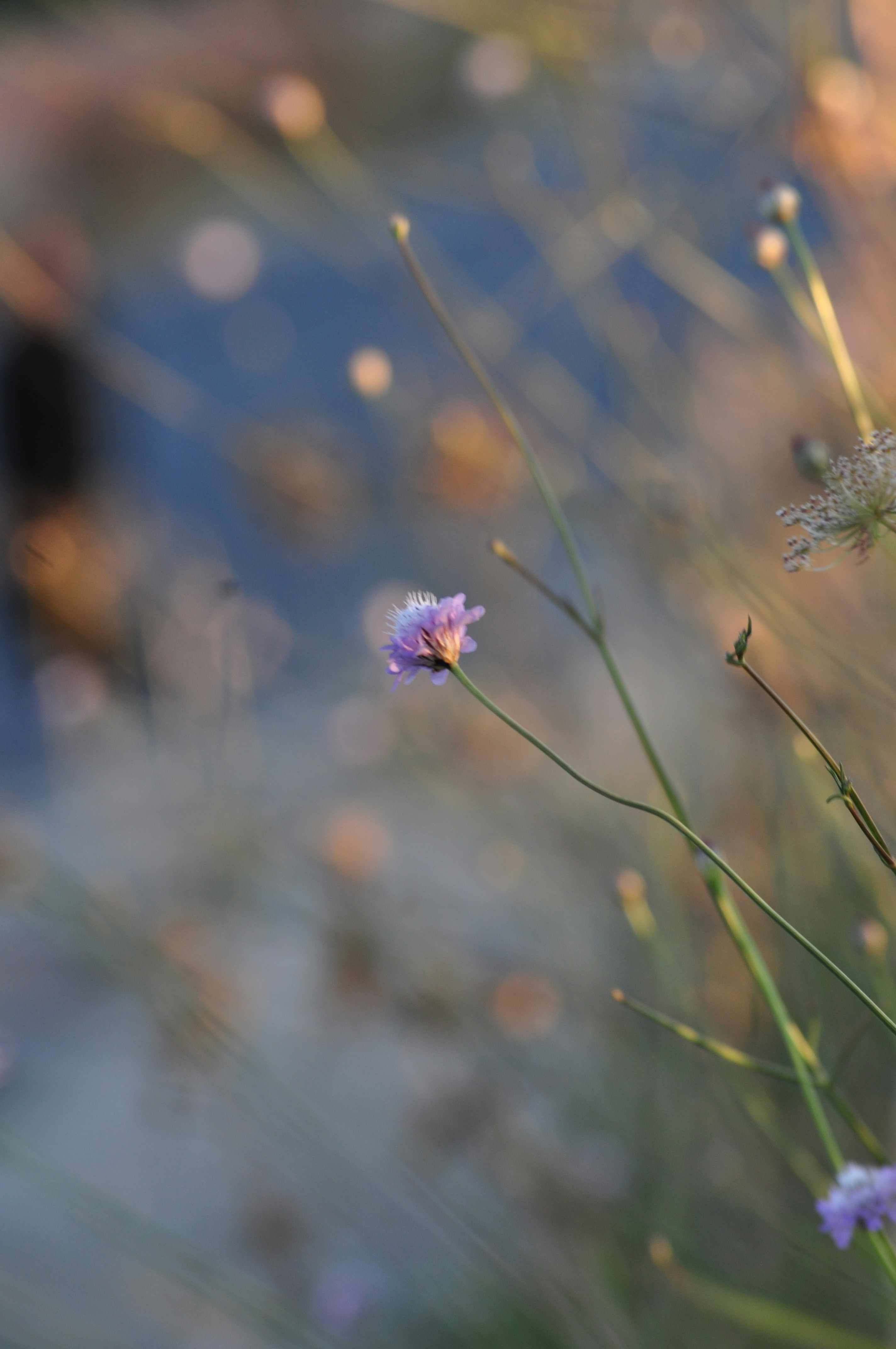 Photo by varileyokarasibiryerdee