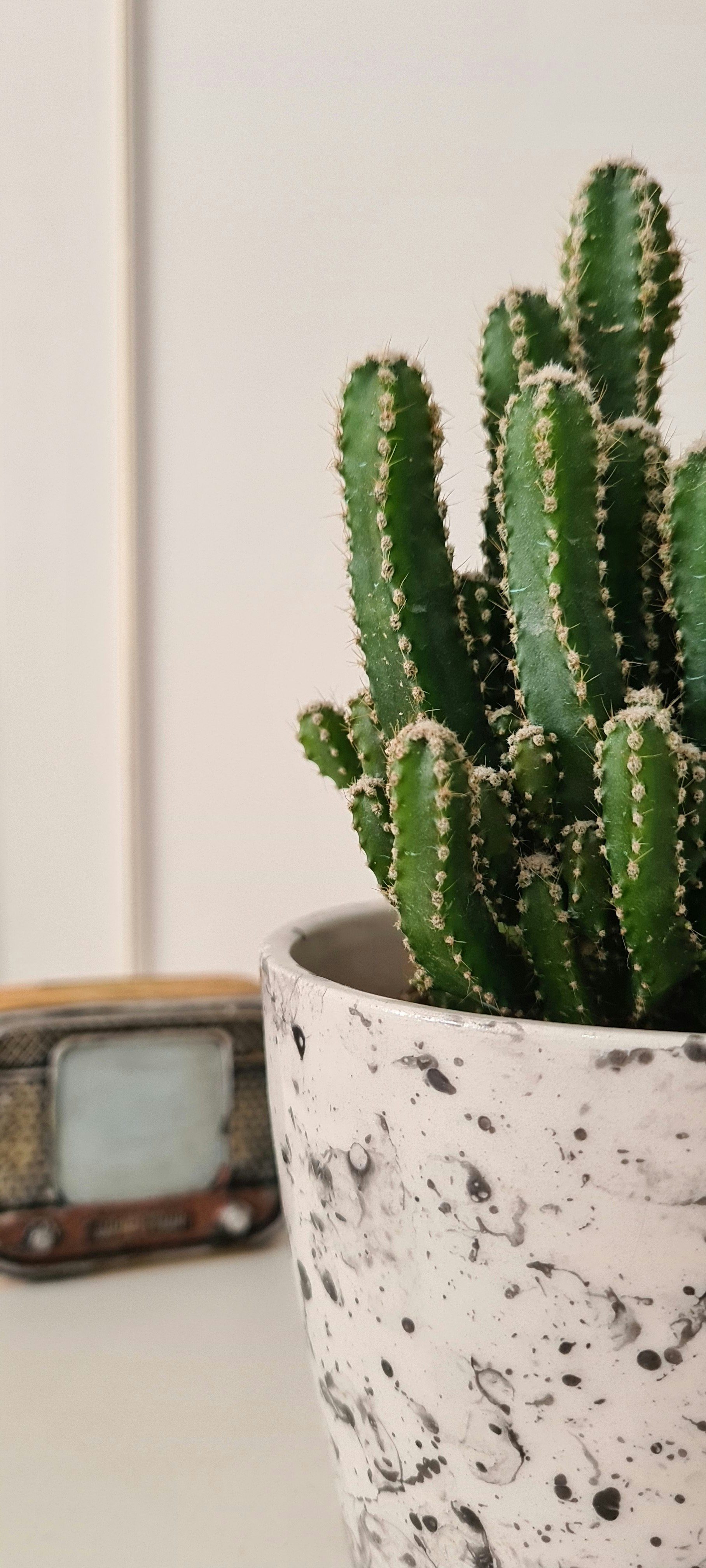 Photo by varileyokarasibiryerdee