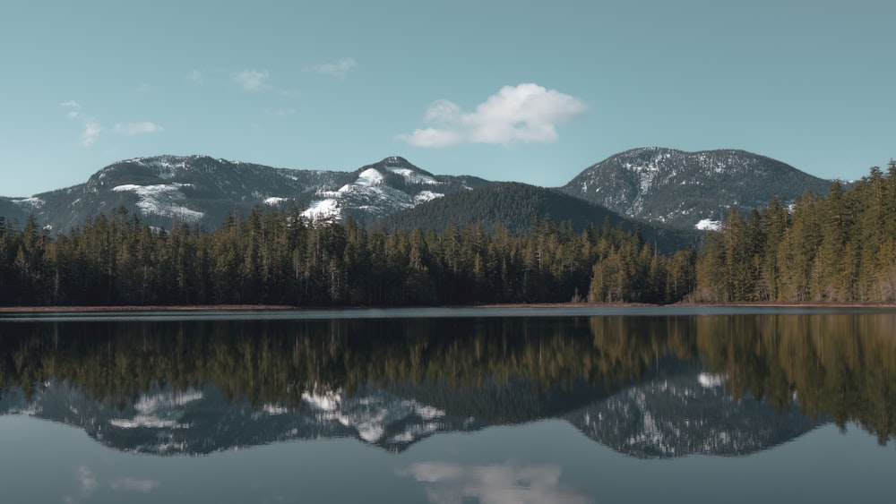 green trees near lake and mountain under blue sky during daytime