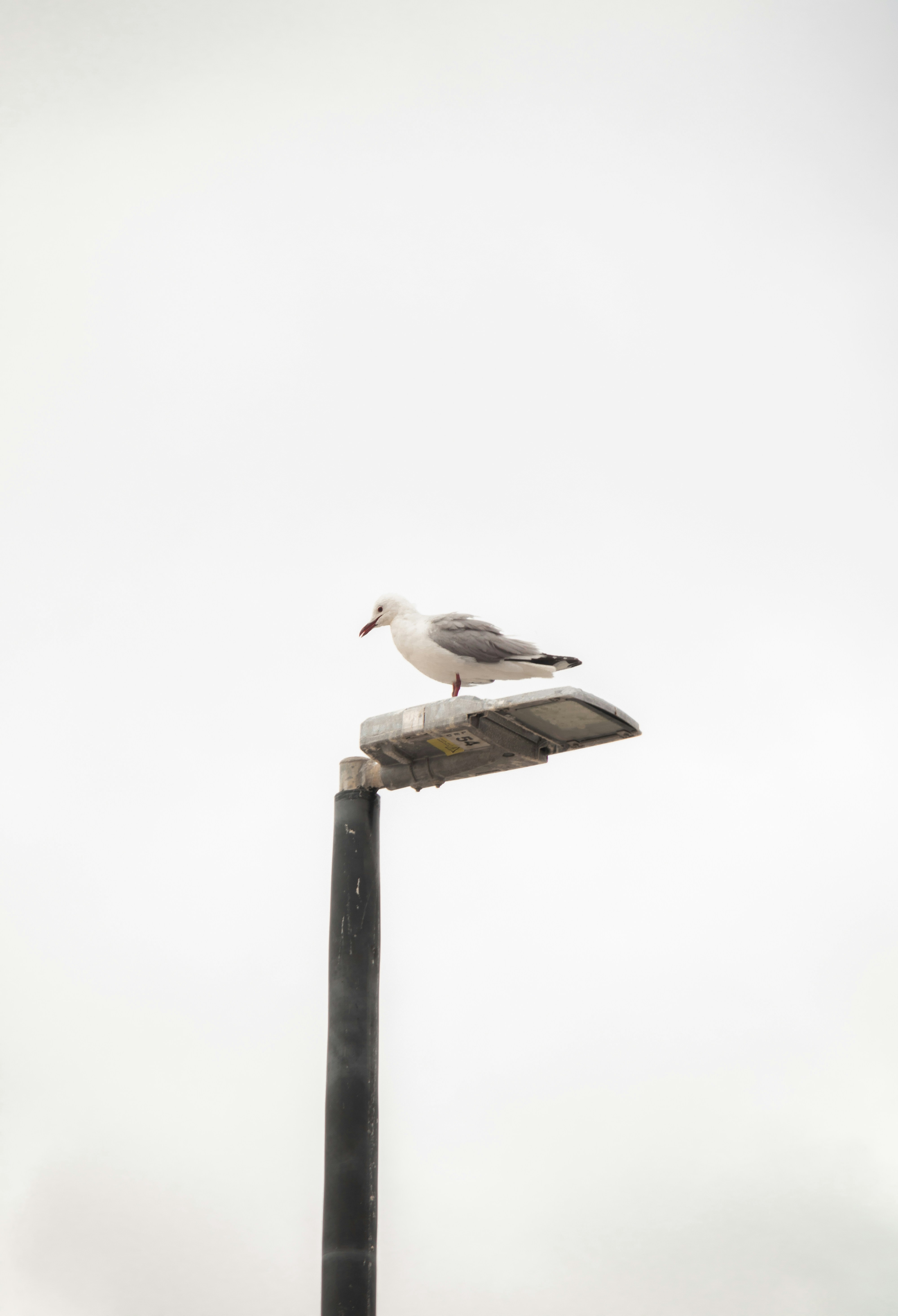 Photo by waldolevendal