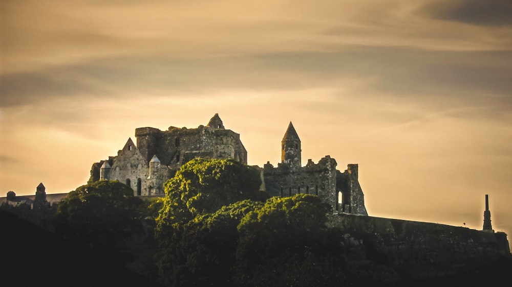 Château en béton gris au sommet de la colline