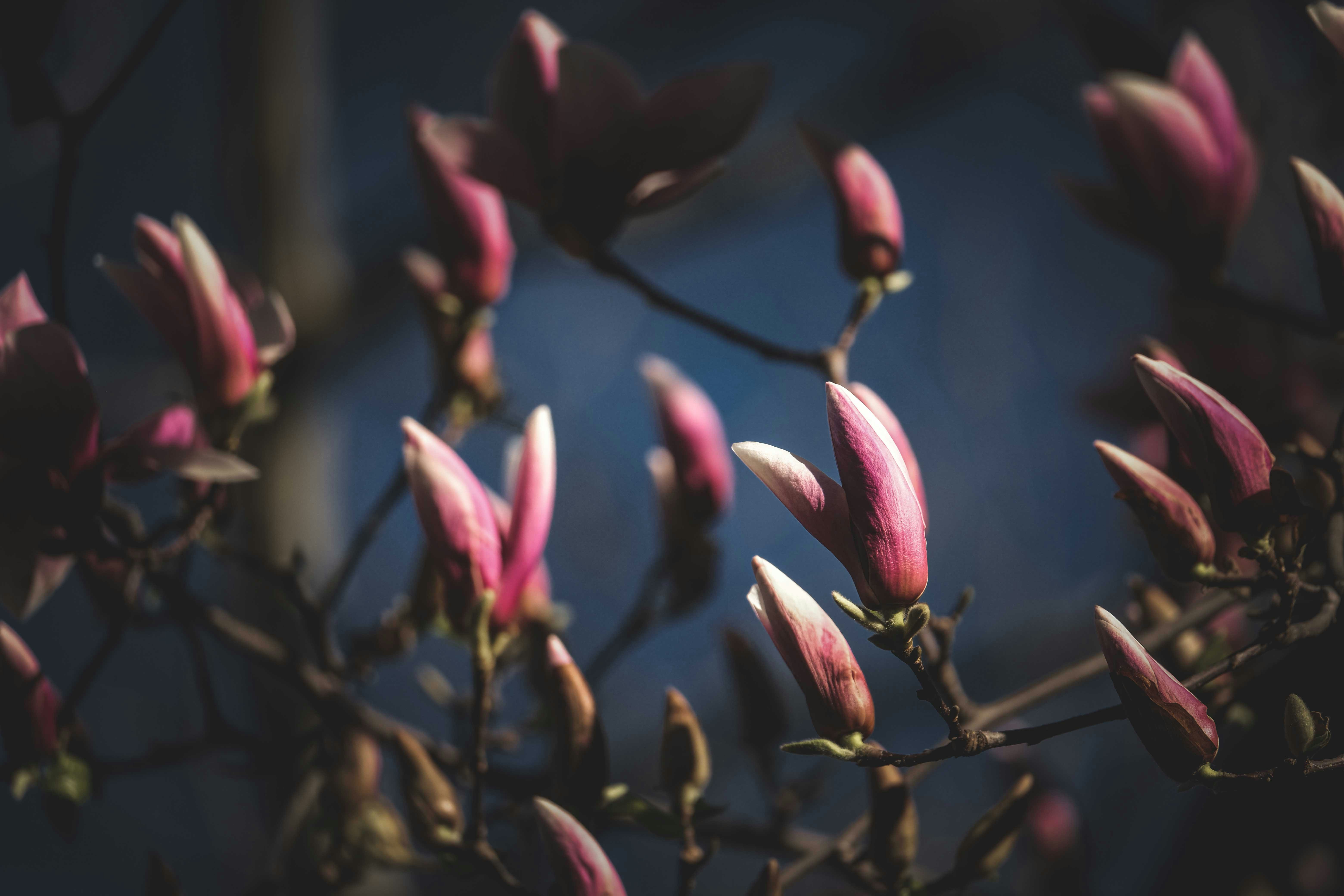 Photo by francesco_ungaro