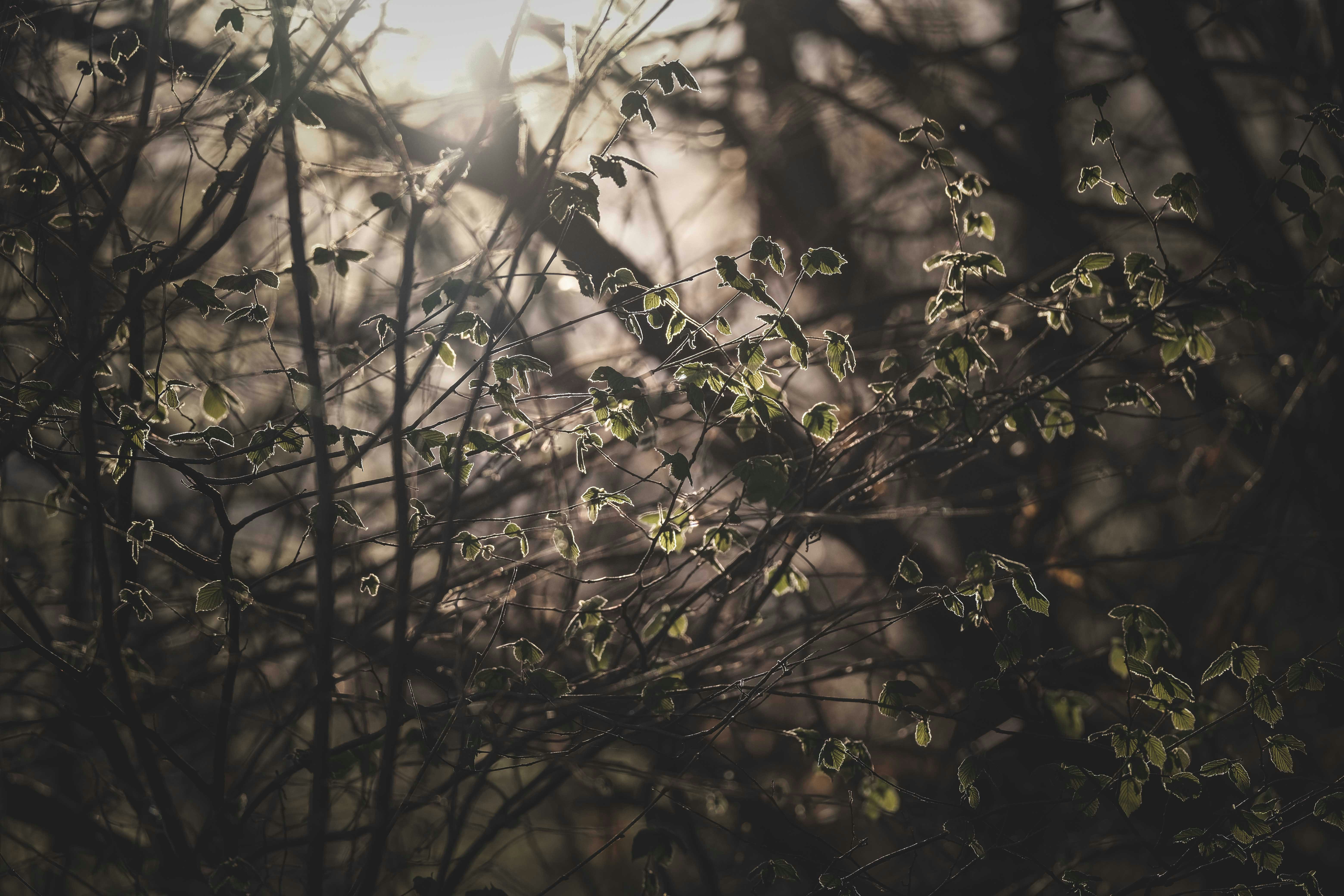 Photo by francesco_ungaro