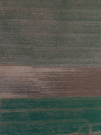 Aerial view of farmland showing clear boundaries and weed patches.