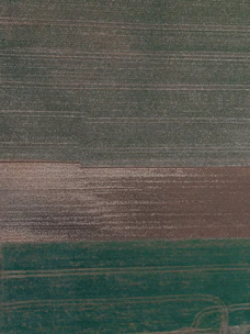 Aerial view of farmland showing clear boundaries and weed patches.