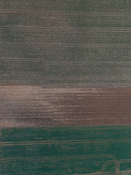 Aerial view of a farm field with drone flying overhead capturing data.
