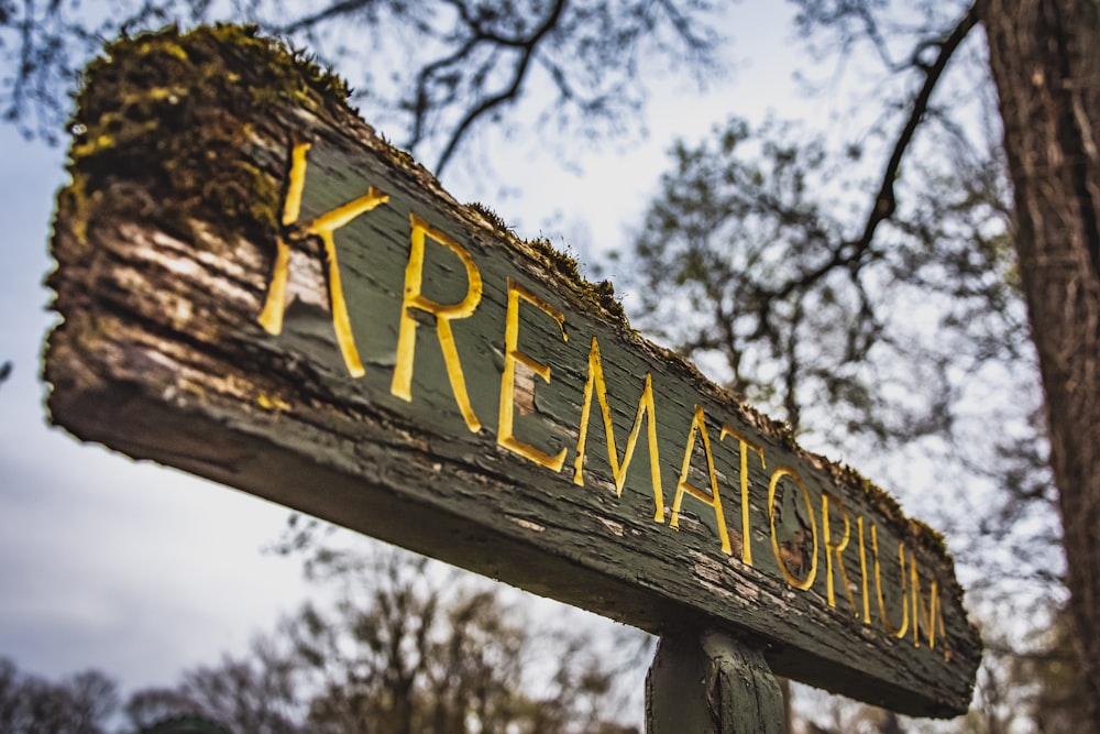 grayscale photo of wooden signage