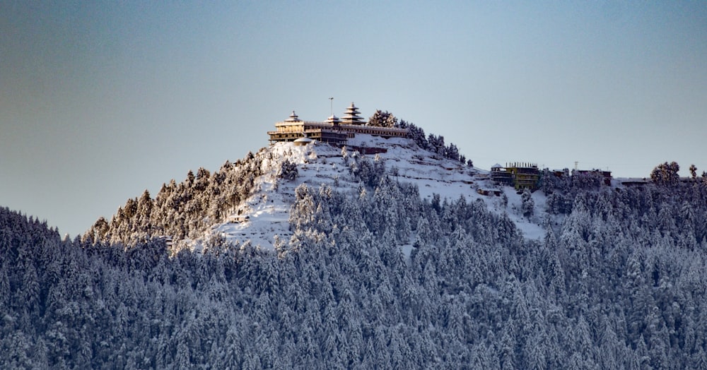 white and brown concrete building on white snow covered ground during daytime