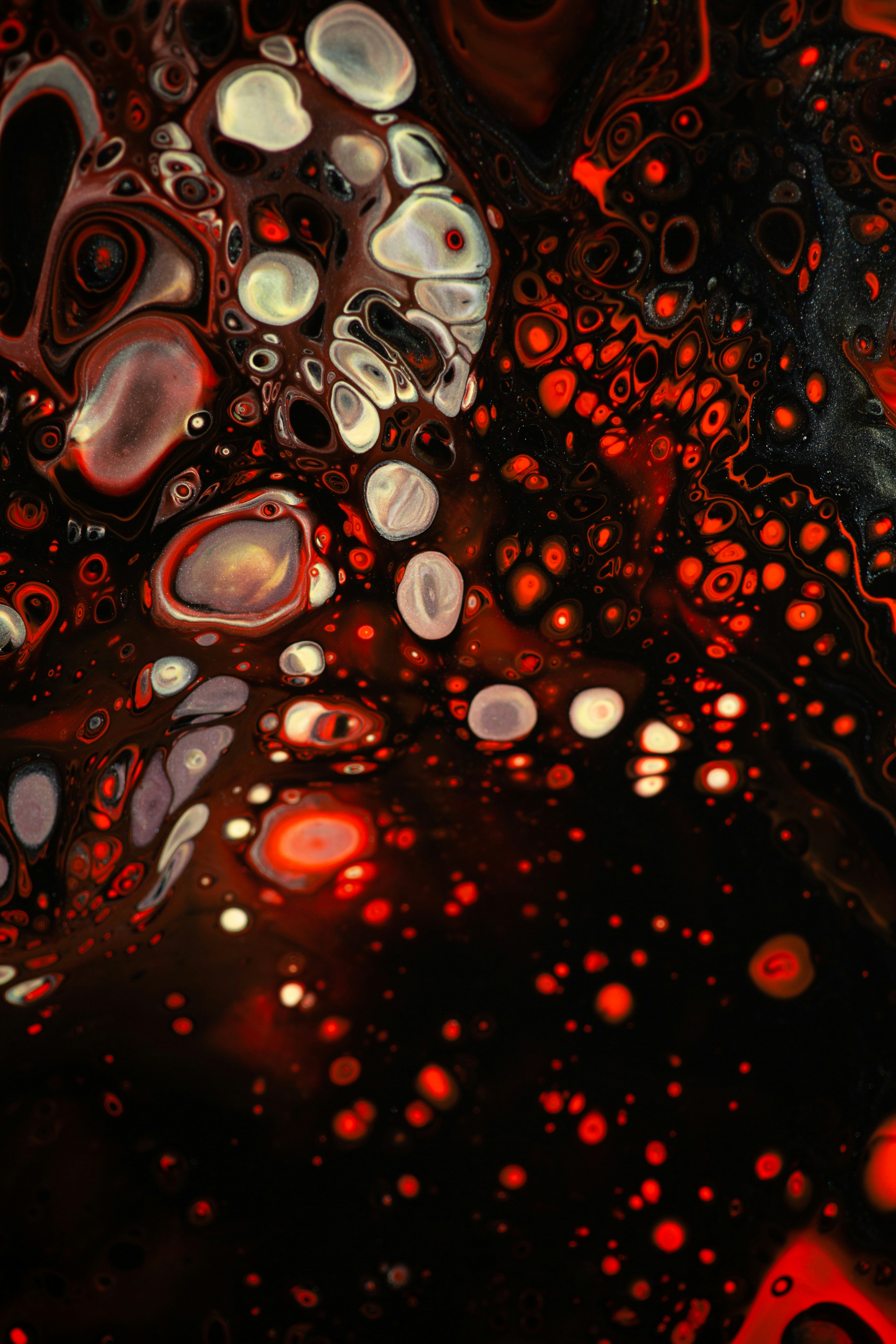 Photo by solenfeyissa