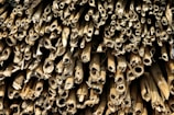 A close-up view of a large bundle of dry, hollow bamboo stalks cut at different lengths. The bamboo is densely packed, displaying its fibrous texture and natural, weathered color. Natural wear and frayed edges are visible on some stalks.
