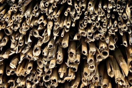 Bundles of premium bamboo articles neatly arranged for shipment.