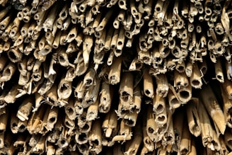 A close-up view of a large bundle of dry, hollow bamboo stalks cut at different lengths. The bamboo is densely packed, displaying its fibrous texture and natural, weathered color. Natural wear and frayed edges are visible on some stalks.