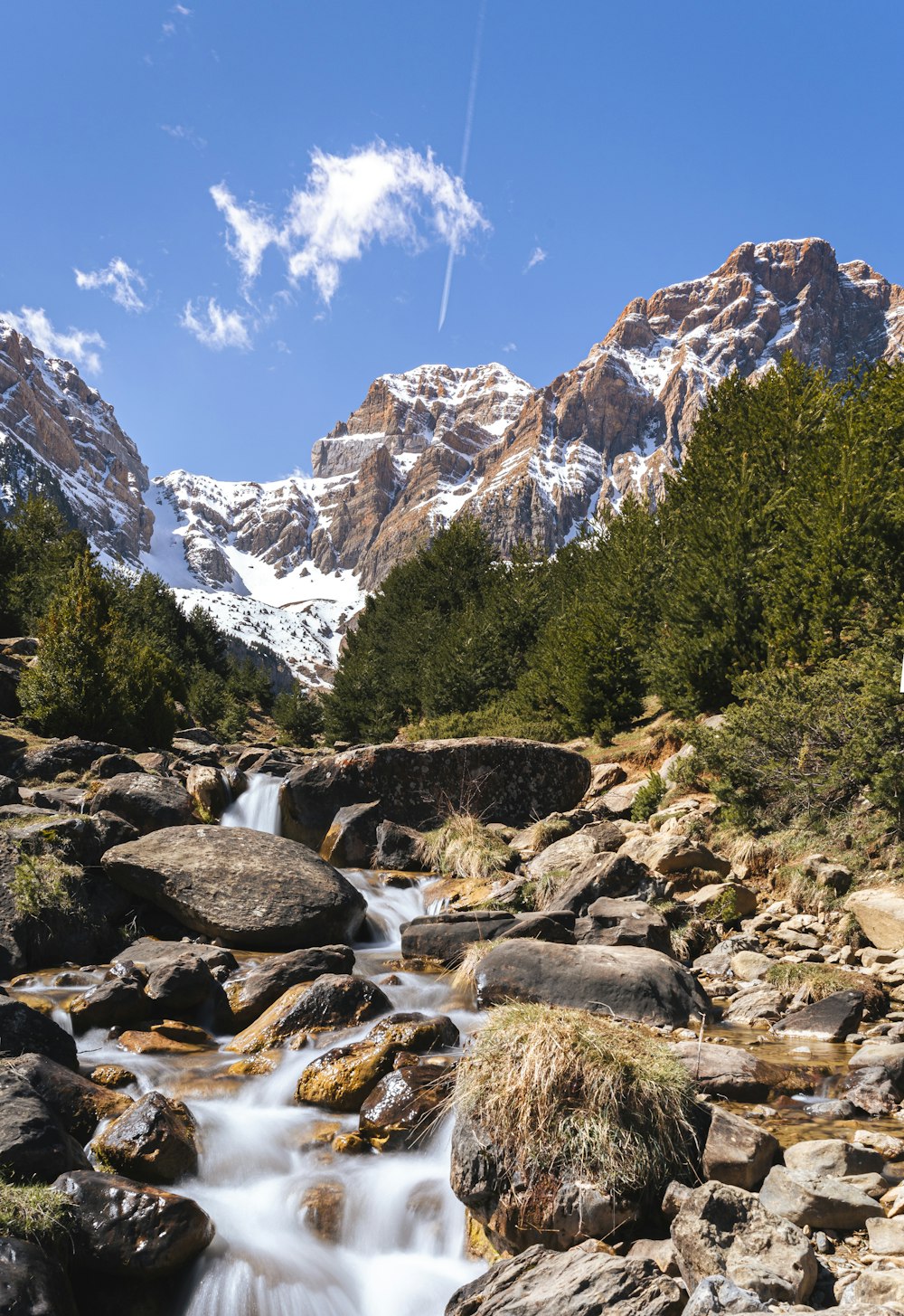 Árboles verdes cerca de las Montañas Rocosas bajo el cielo azul durante el día