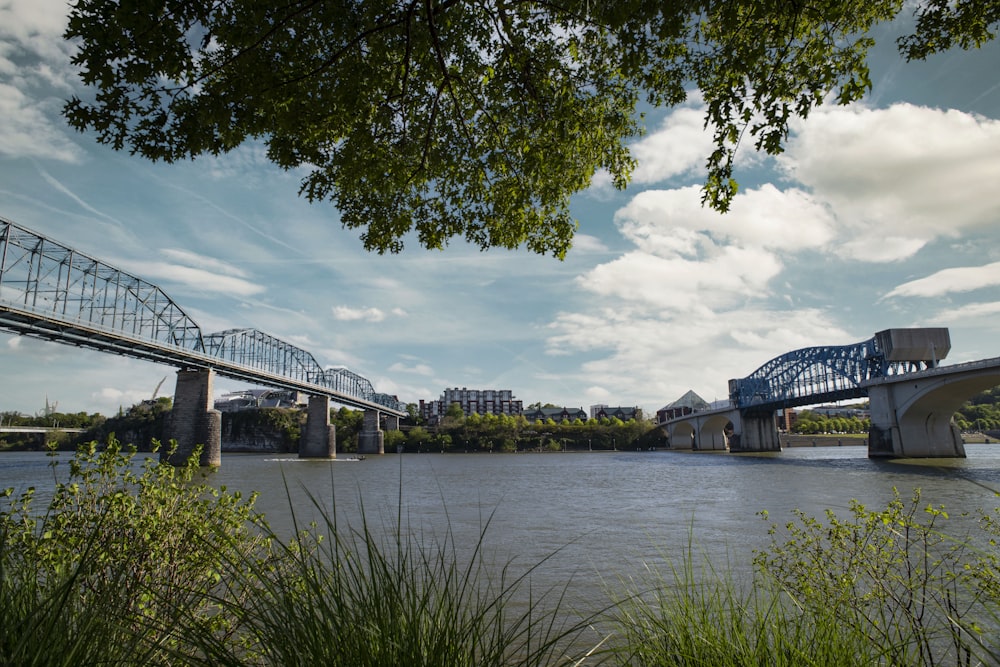 white bridge over river under blue sky during daytime