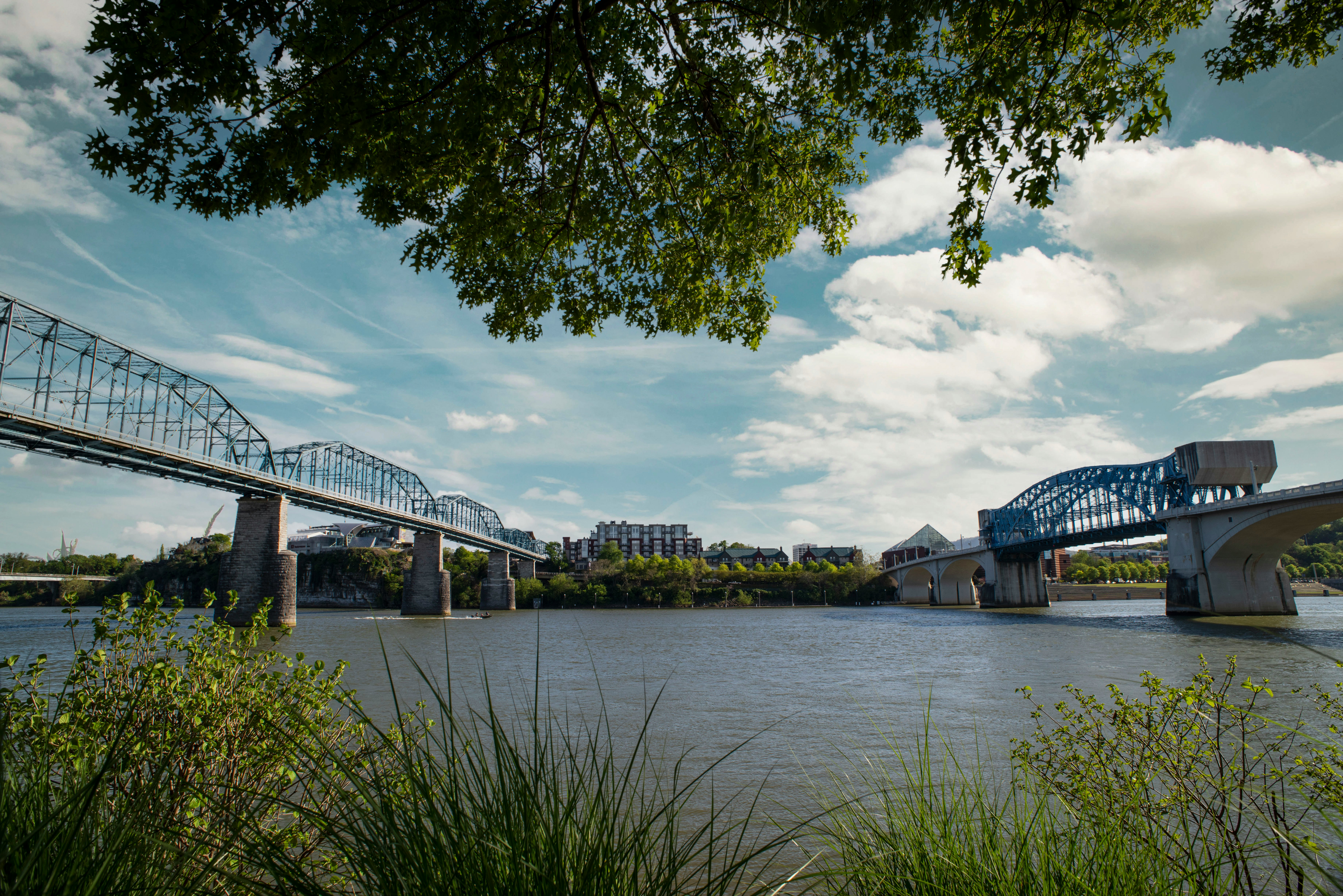 white bridge over river under blue sky during daytime