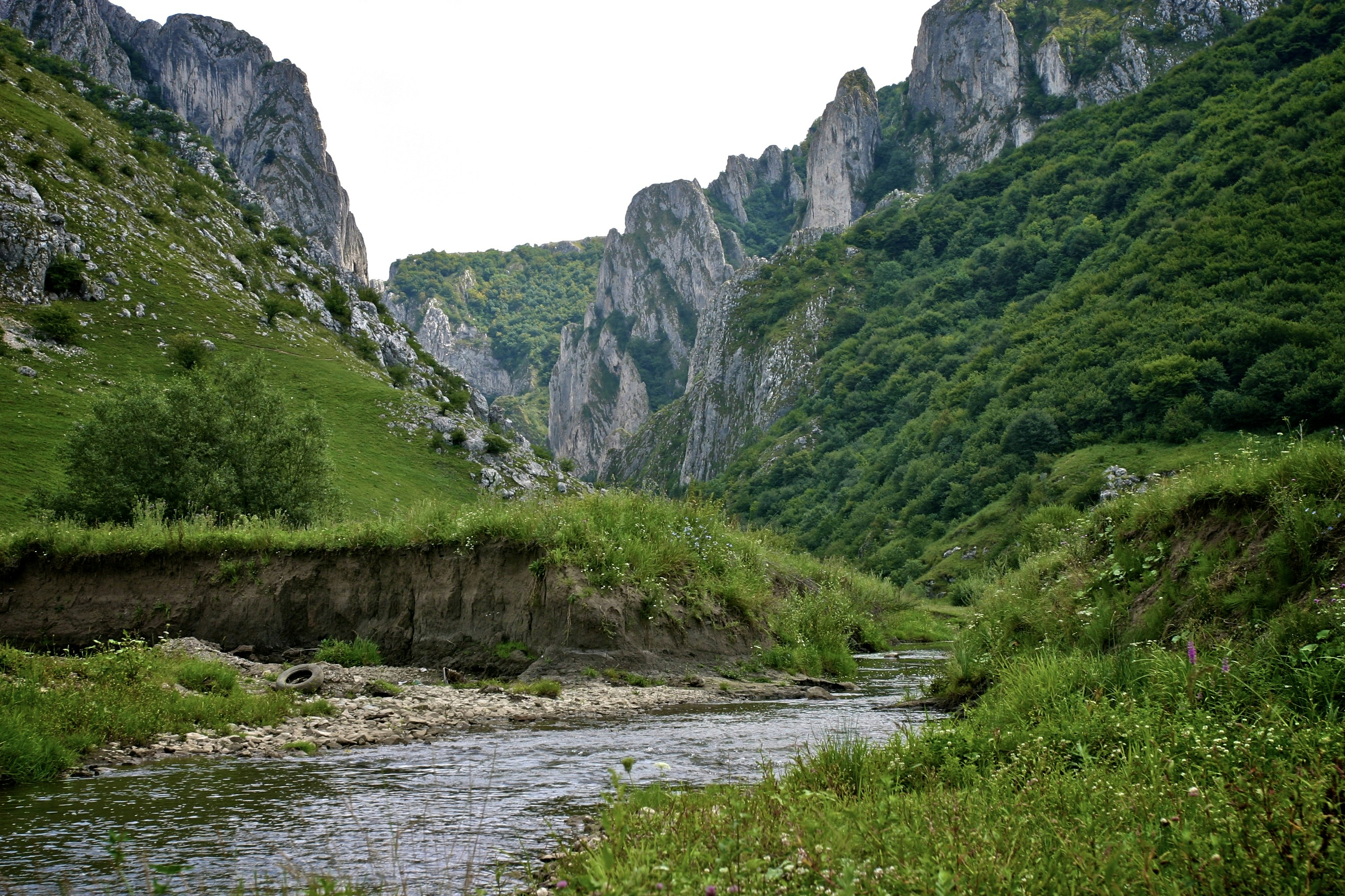 Stay online in the Romania with a prepaid eSIM from eSIMlii. Instant activation, no roaming charges, and reliable coverage.