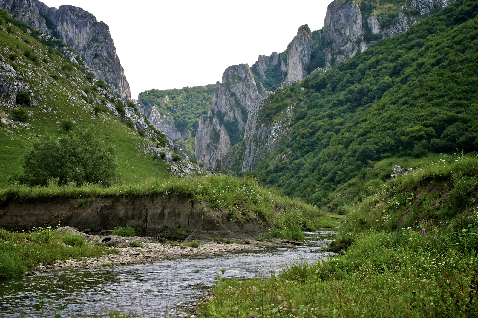 Cazare în Turda: Cheile Turzii, cu pârâul Hășdate între pereții de calcar